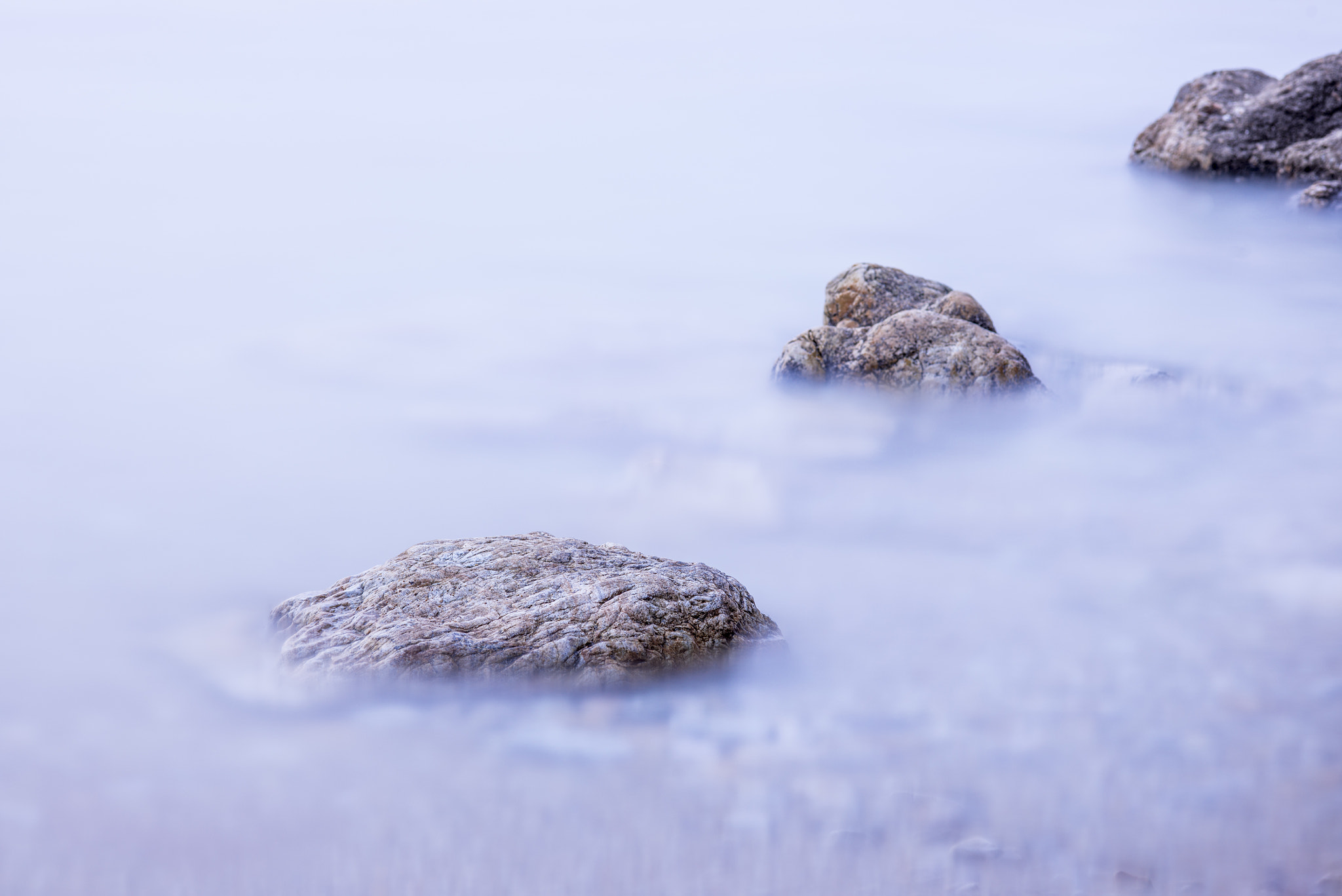 ZEISS Makro-Planar T* 100mm F2 sample photo. See the unseen photography