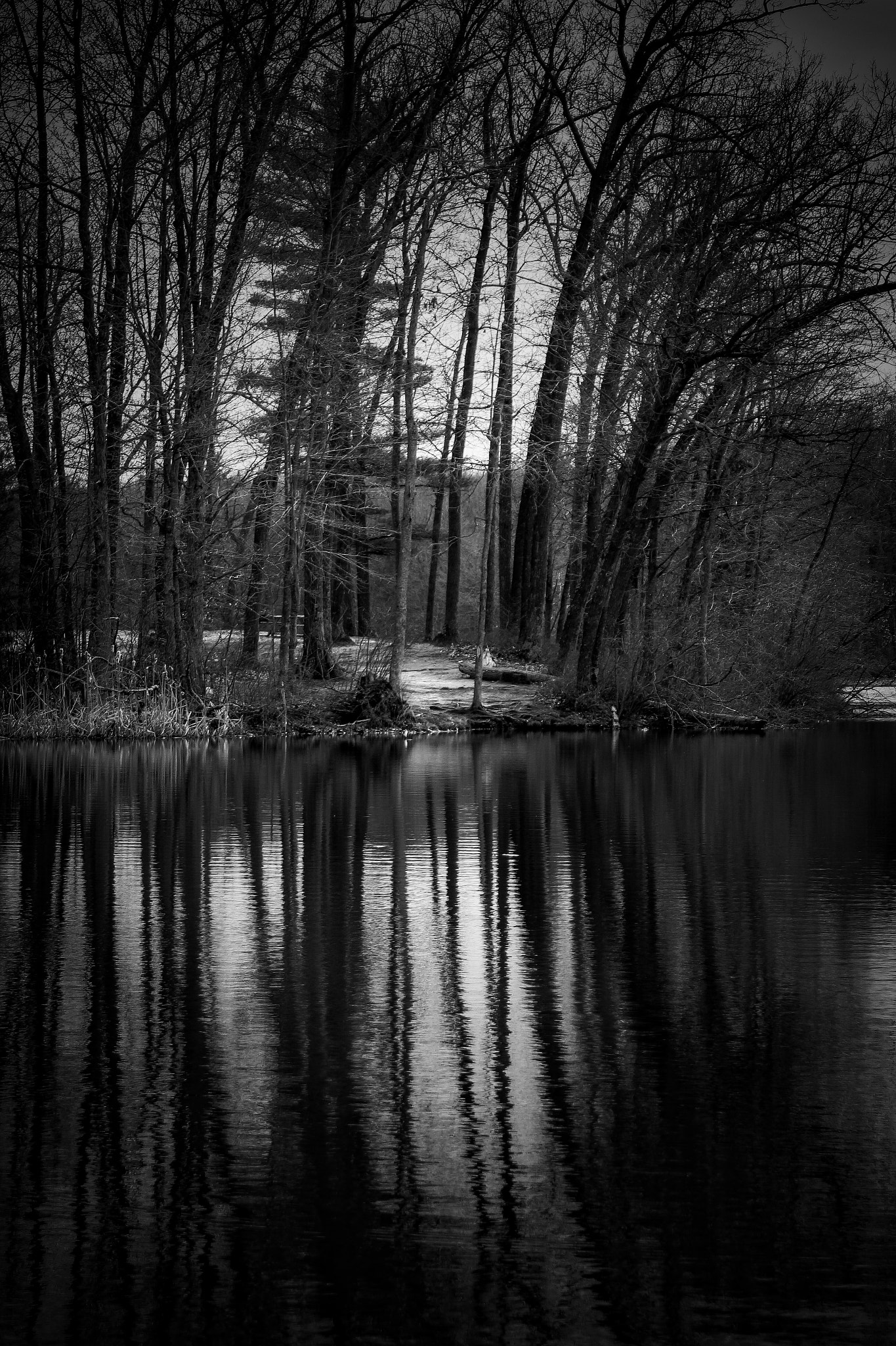 Canon EF 35-80mm f/4-5.6 sample photo. The sound of silence... photography