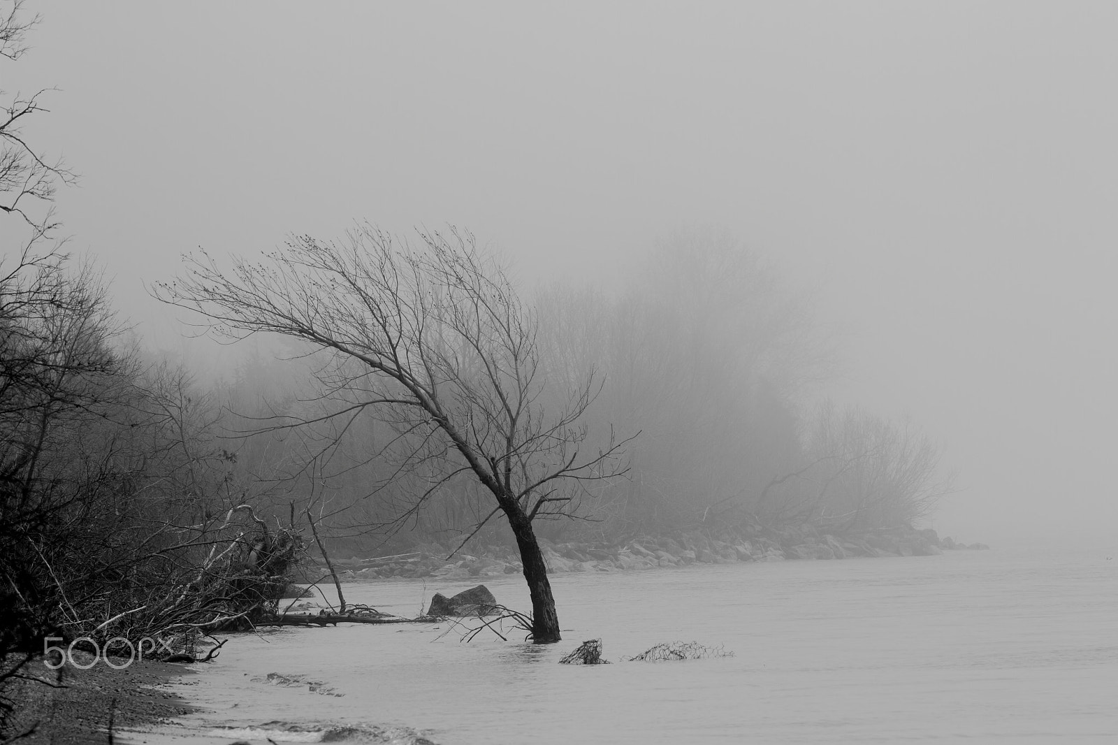 Sigma 150-600mm F5-6.3 DG OS HSM | C sample photo. Bent photography