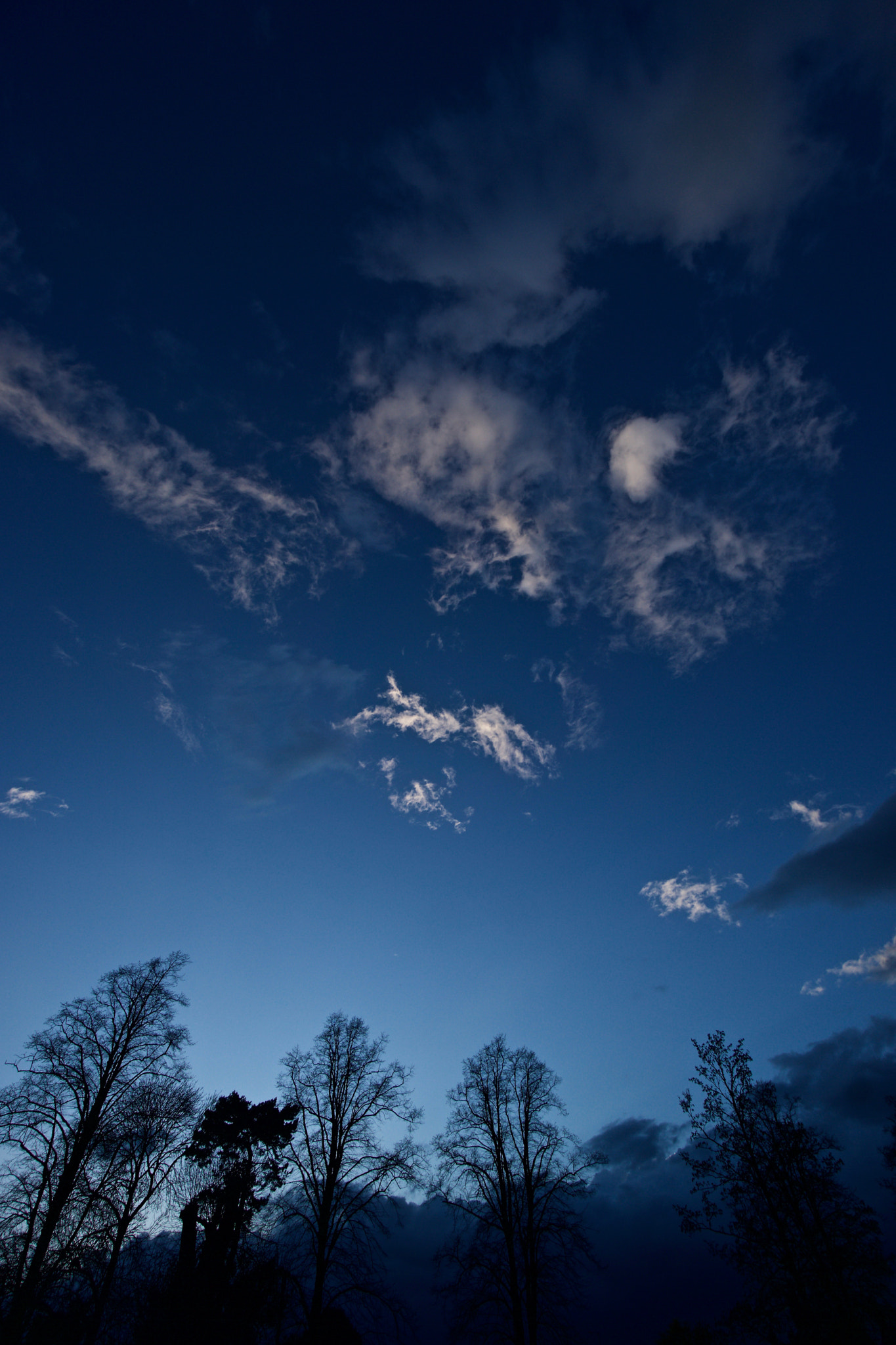 Sony a6000 + Sony E 10-18mm F4 OSS sample photo. Dsc09374.jpg photography