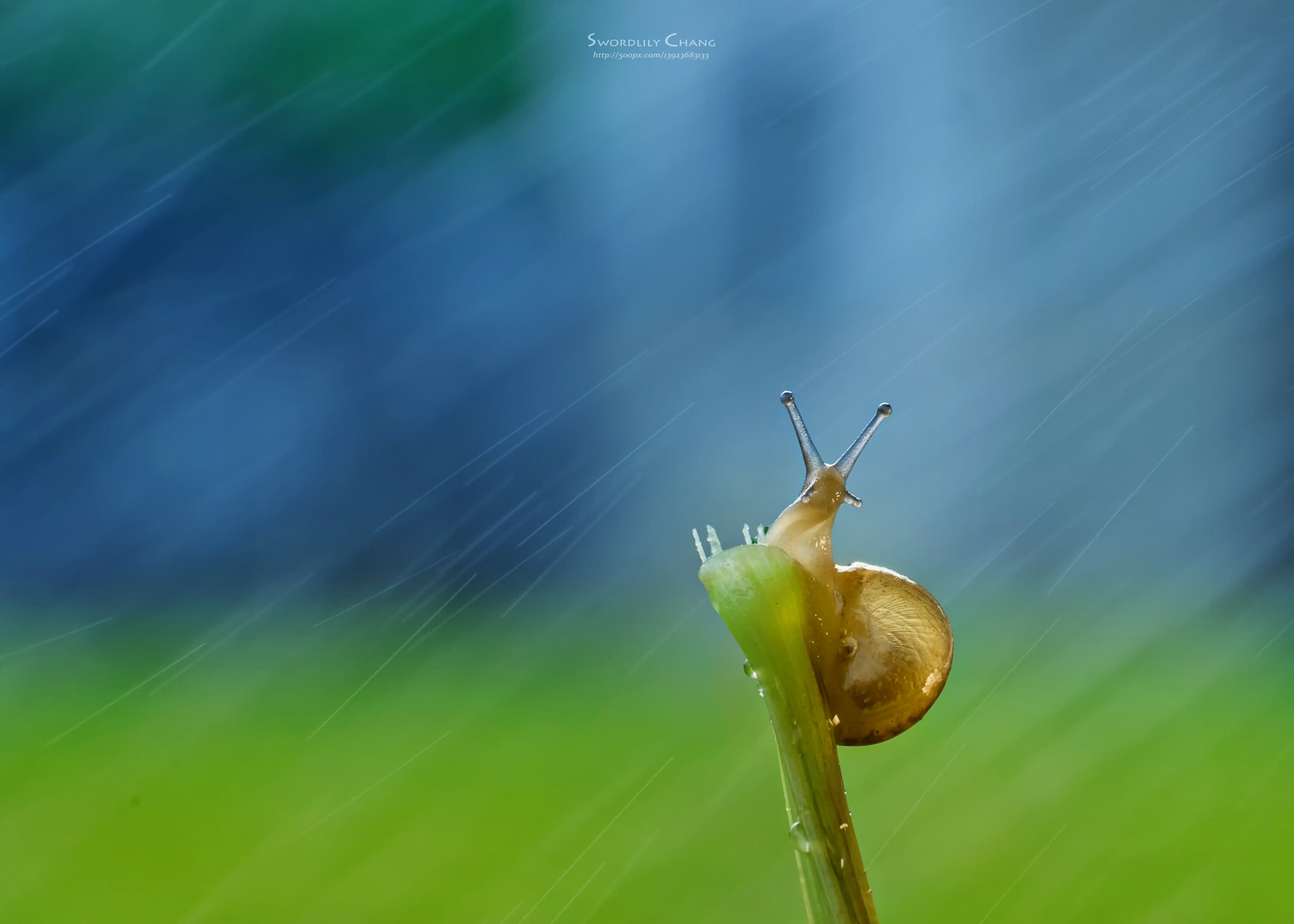 Panasonic Lumix DMC-GM1 sample photo. In wind and rain photography