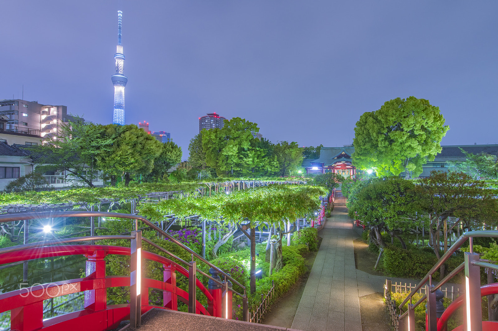 Nikon AF-S Nikkor 14-24mm F2.8G ED sample photo. Kameidotenjin shrine and sky tree, tokyo, japan photography