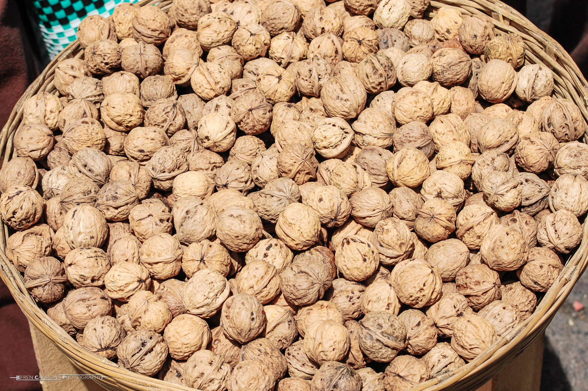 Nikon D40 sample photo. Nueces de castilla photography
