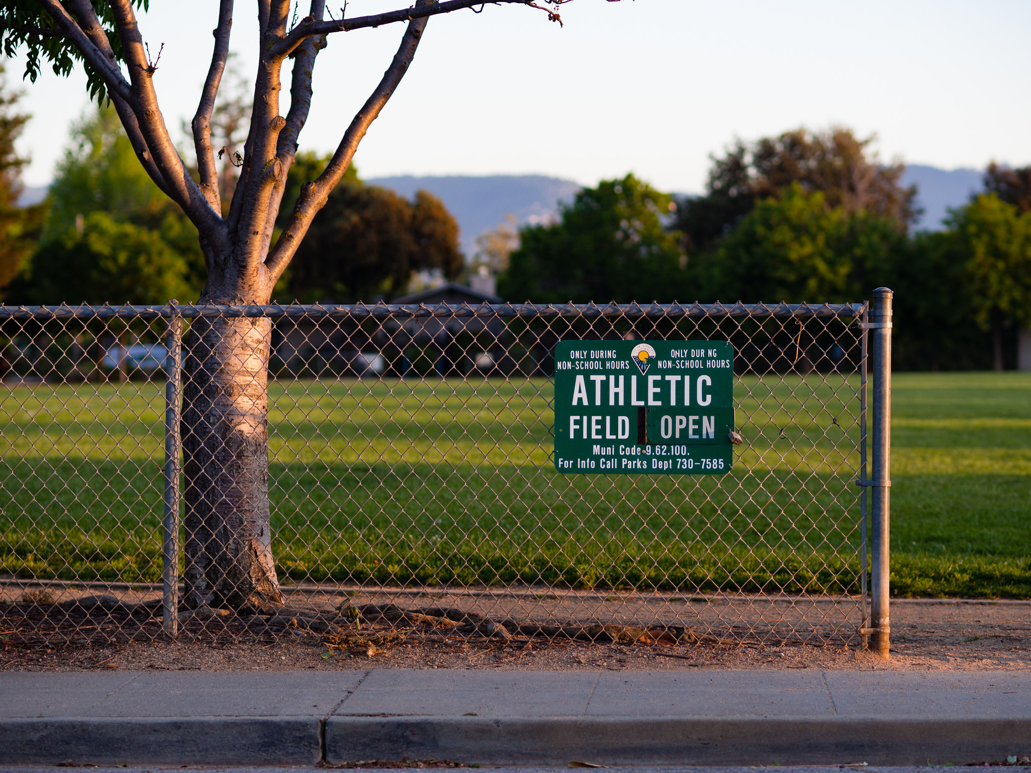 Olympus OM-D E-M10 + Olympus M.Zuiko Digital ED 75mm F1.8 sample photo. School field photography