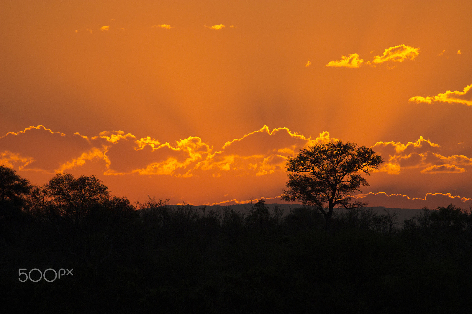 Canon EF 100-400mm F4.5-5.6L IS II USM sample photo. Orange sunset.jpg photography