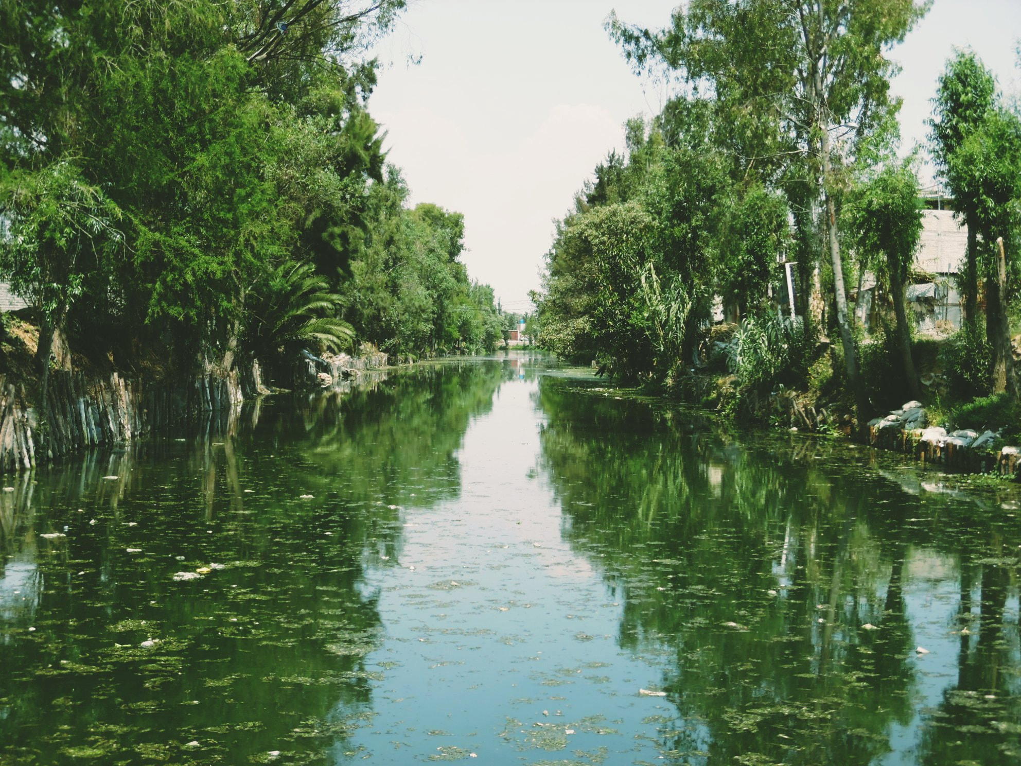Samsung WB35F/WB36F/WB37F sample photo. Camino de agua... photography