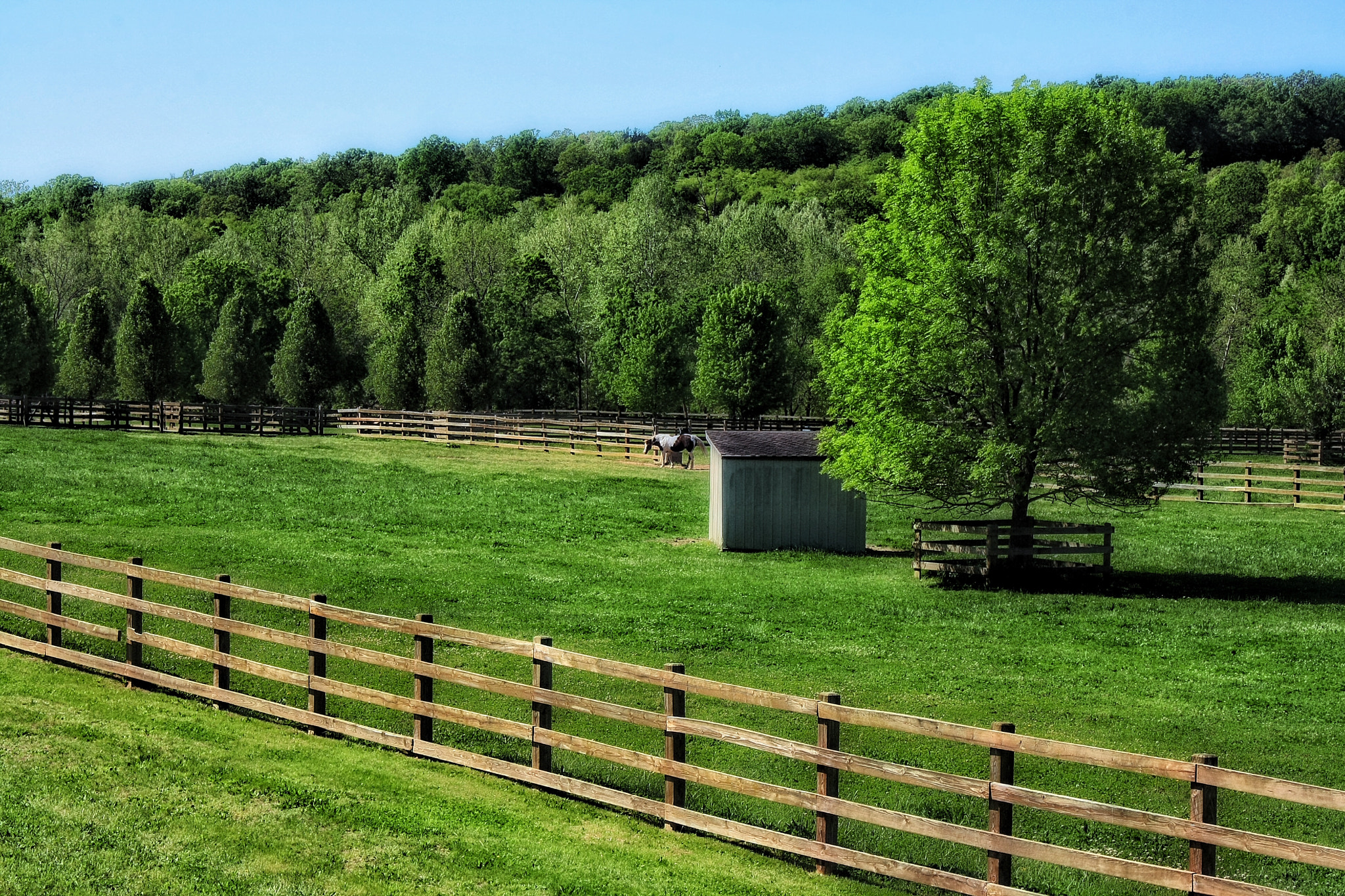 Canon EF-S 18-55mm F3.5-5.6 IS sample photo. Ranch near forsyth. photography