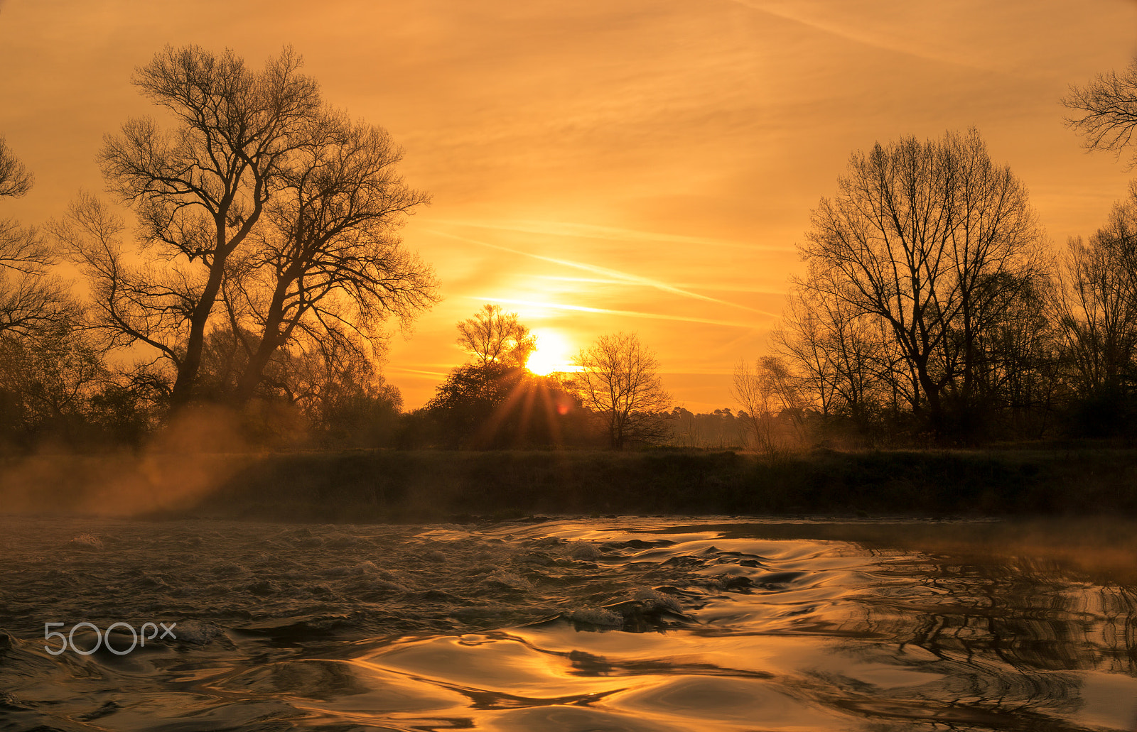 Canon EOS-1D Mark IV sample photo. In the morning sun photography