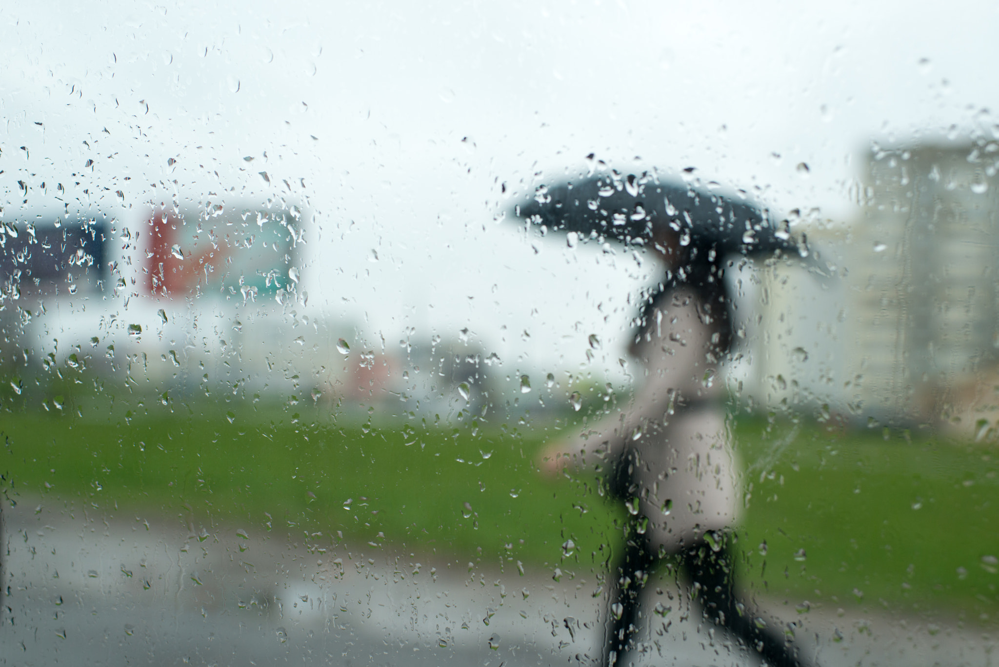 Nikon D800E + Nikon AF-S Nikkor 35mm F1.4G sample photo. Rain photography