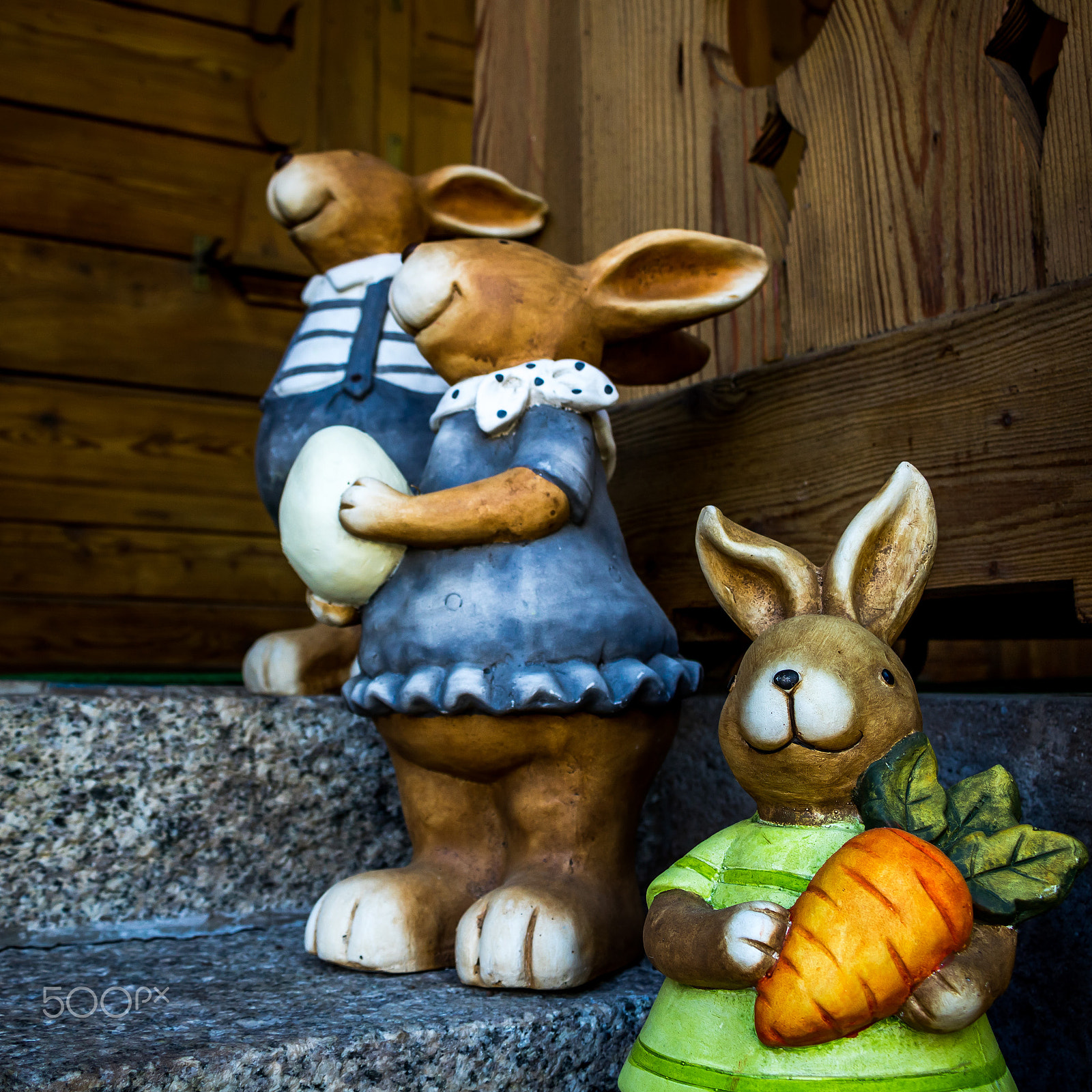 Canon EF-S 18-135mm F3.5-5.6 IS STM sample photo. Bunnies photography