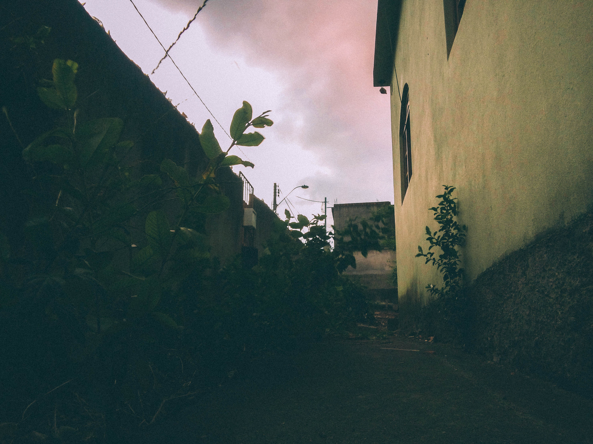 LG L Bello sample photo. Cold and dark days are better to think photography