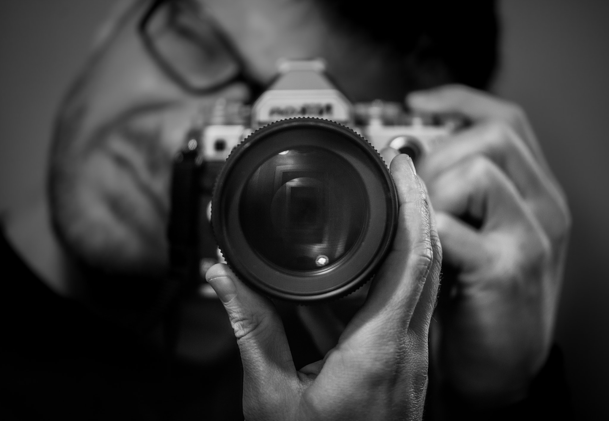 Sigma 150mm F2.8 EX DG Macro HSM sample photo. Focus photography