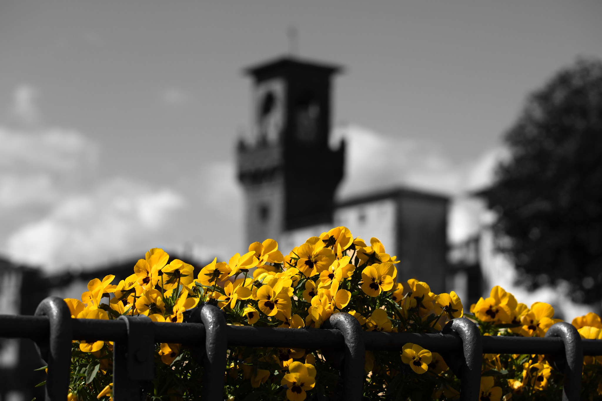 Canon EOS 5DS R + Canon EF 70-200mm F4L USM sample photo. Pescia in toscana provincia di pistoia  photography