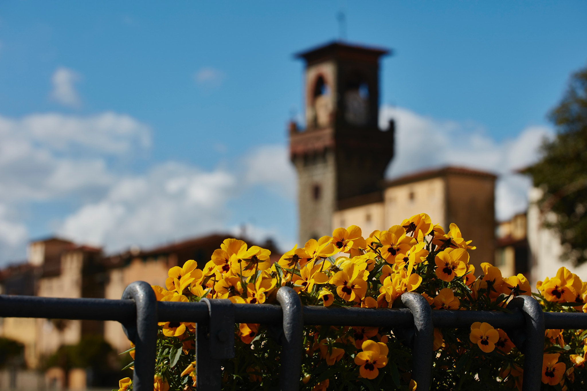 Canon EOS 5DS R + Canon EF 70-200mm F4L USM sample photo. Pescia photography