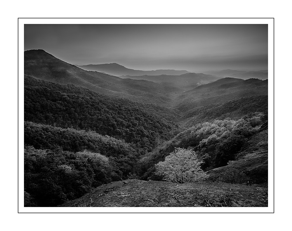 Canon EF-S 10-18mm F4.5–5.6 IS STM sample photo. Photographed at amba ghat.  photography