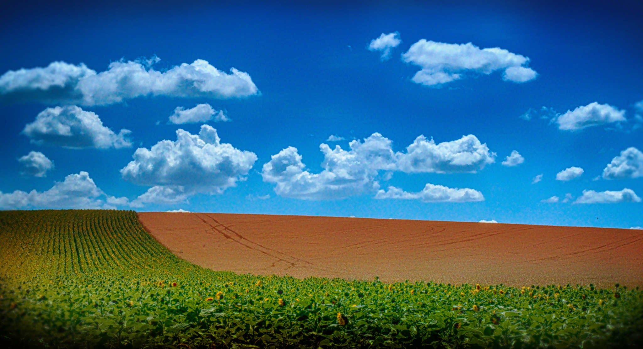 18.00 - 55.00 mm f/3.5 - 5.6 sample photo. Field photography