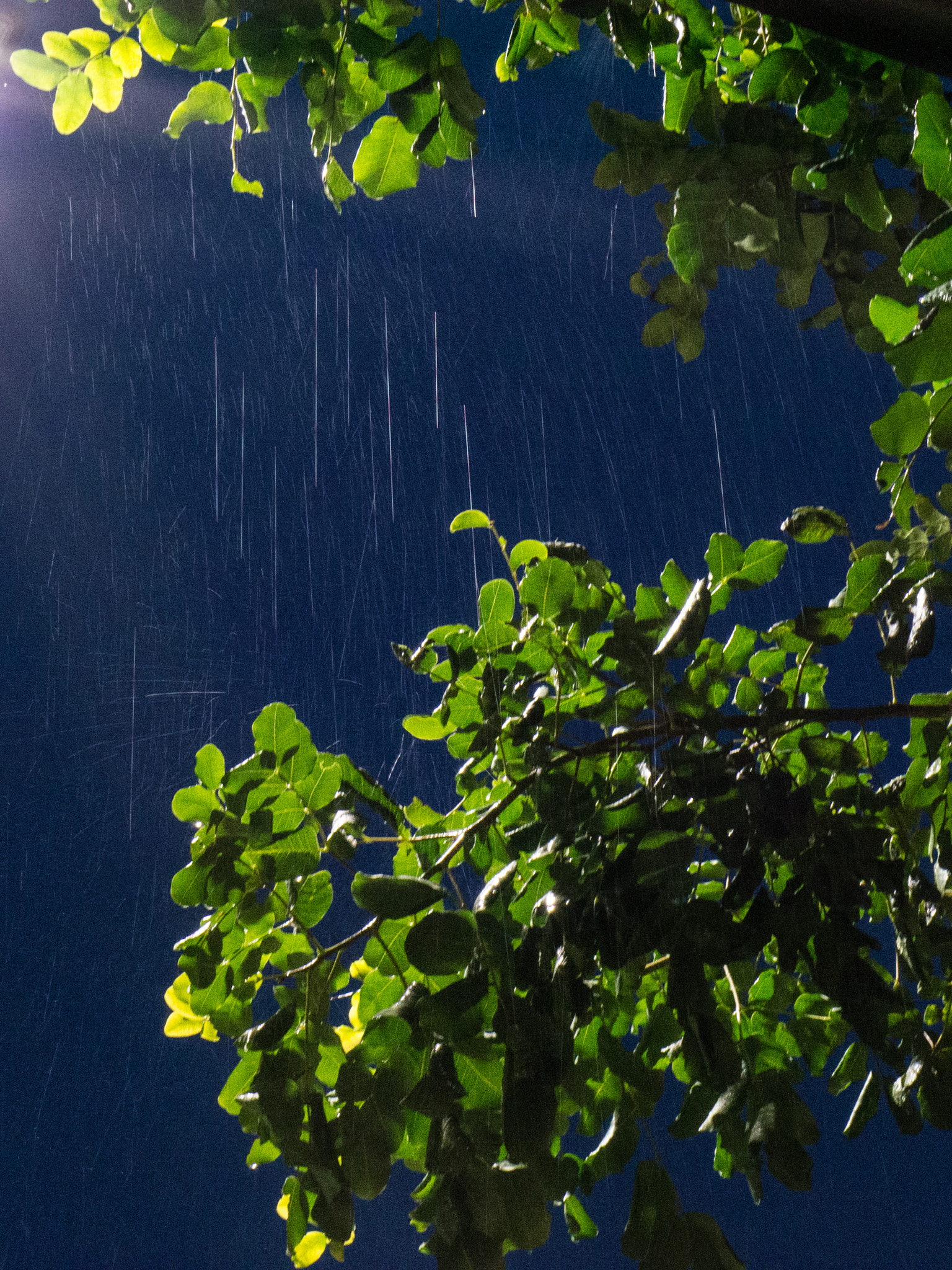 Sony Alpha NEX-5N + E 50mm F1.8 OSS sample photo. Rain. photography