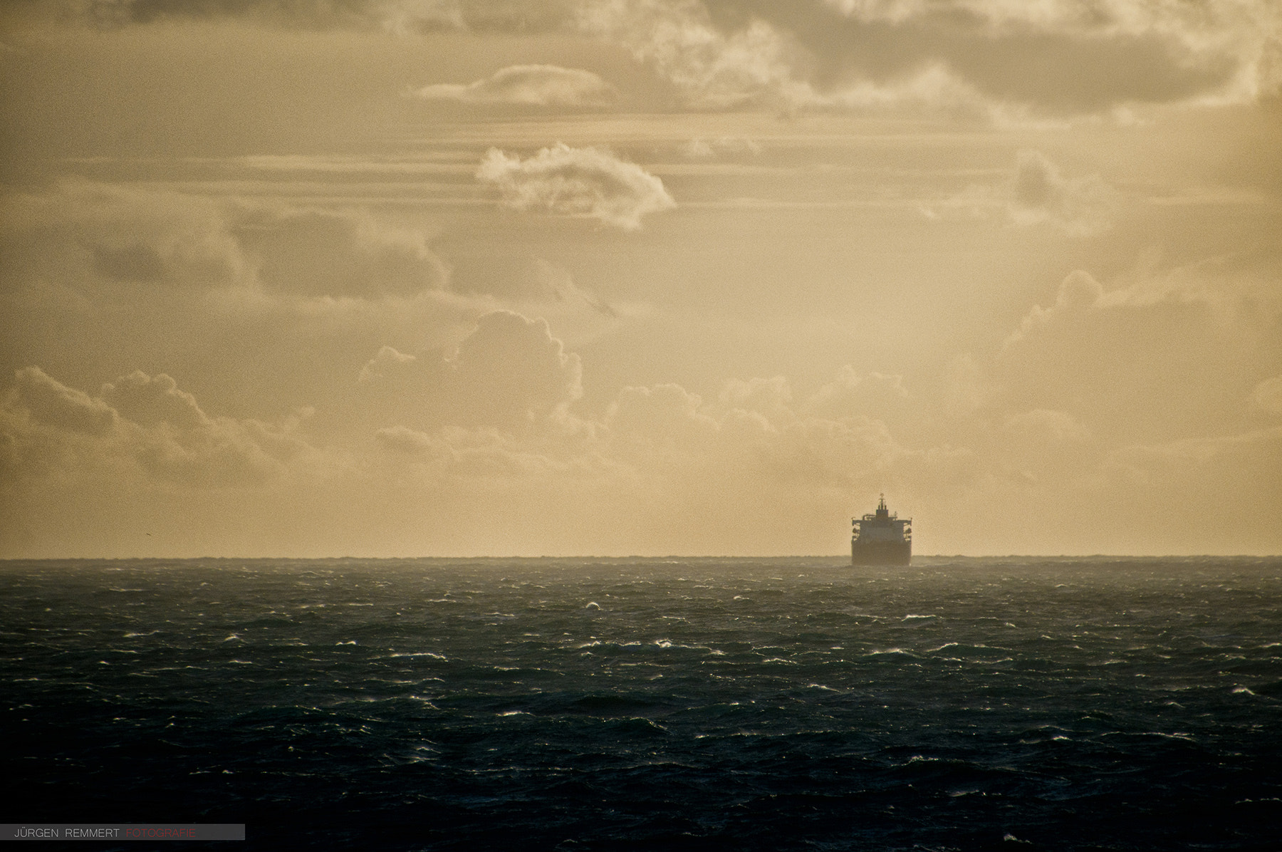 Nikon D300S sample photo. ... the morning encounter ... photography
