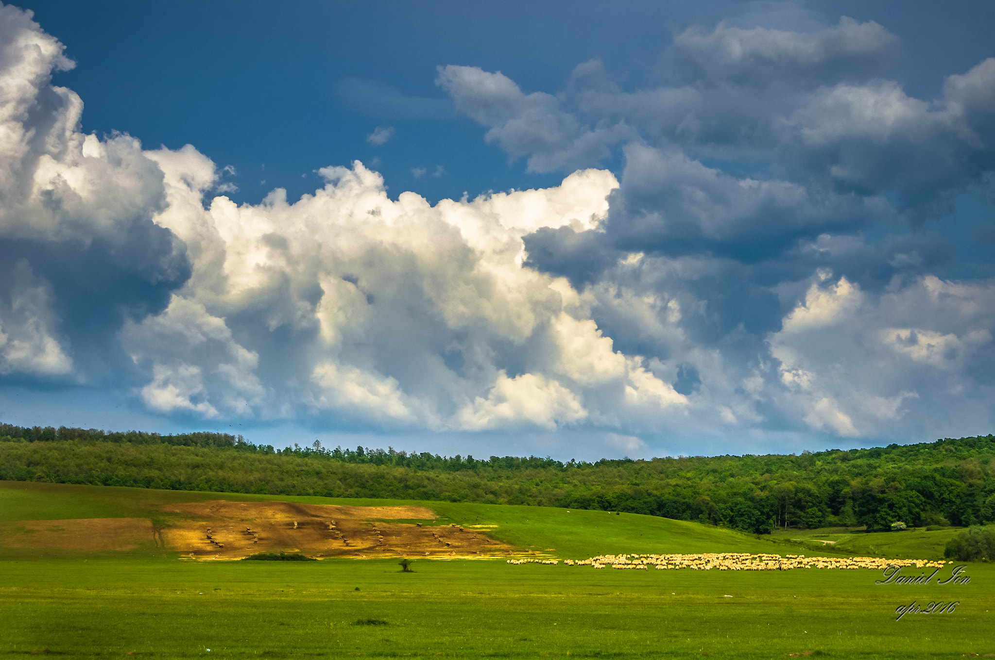 Pentax K-x + smc PENTAX-FA 28-80mm F3.5-4.7 sample photo. Sheepfold photography