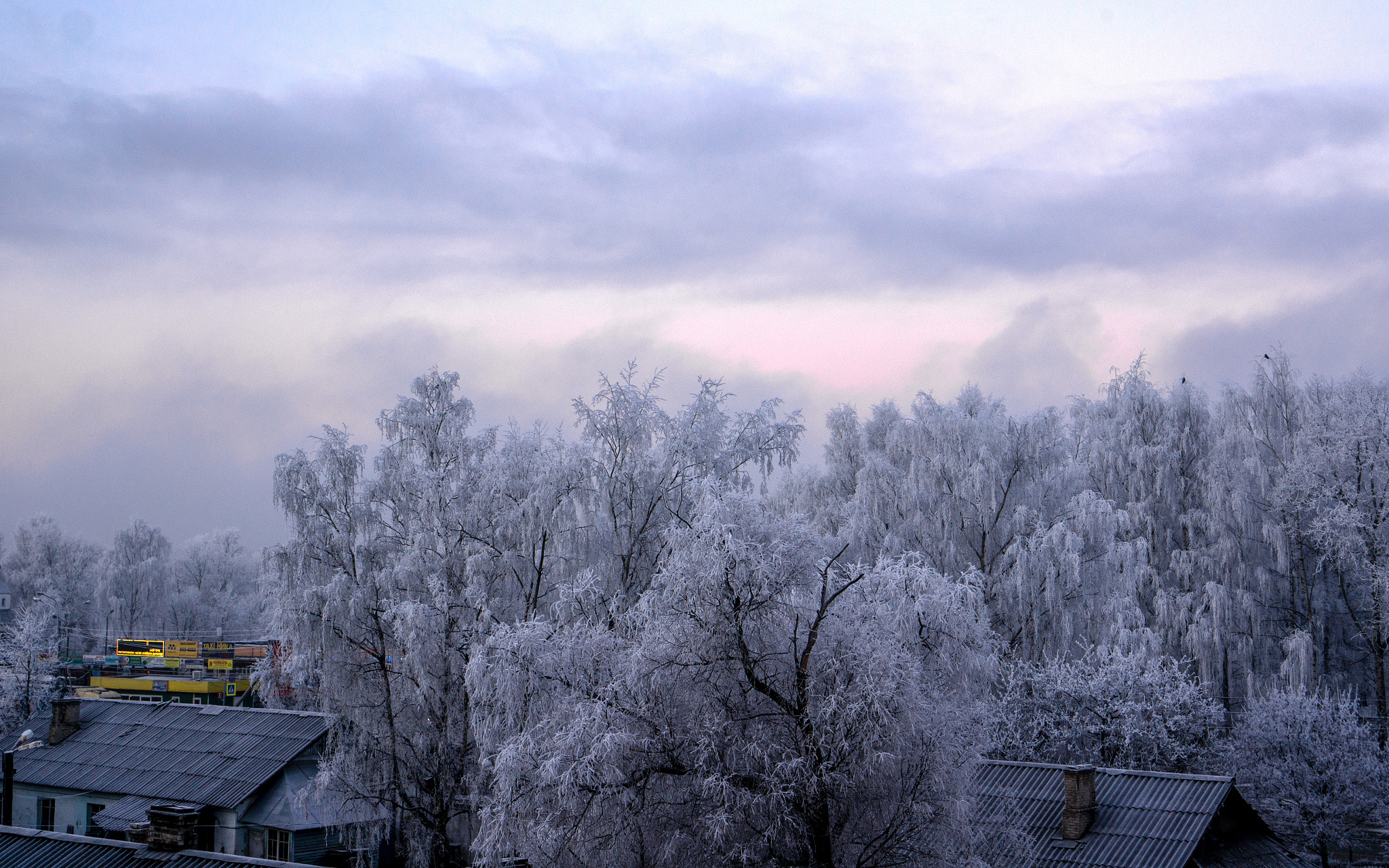 Sony E 35mm F1.8 OSS sample photo. Frosty morning. photography