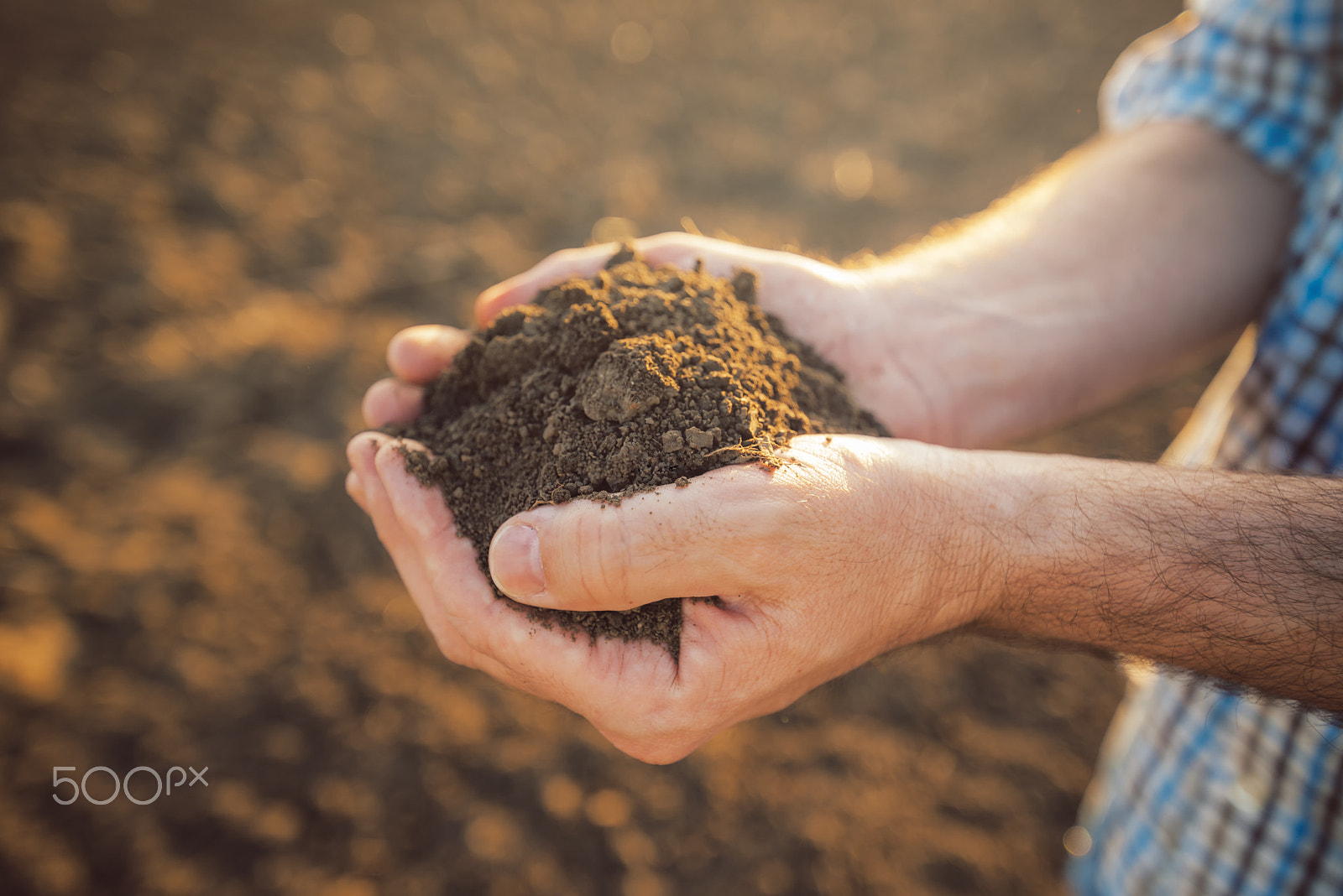 Tamron SP 15-30mm F2.8 Di VC USD sample photo. Farmer holding pile of arable soil in hands photography