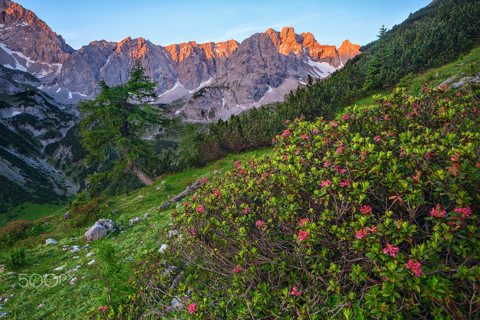 Canon TS-E 24.0mm f/3.5 L II sample photo. Morning glow photography