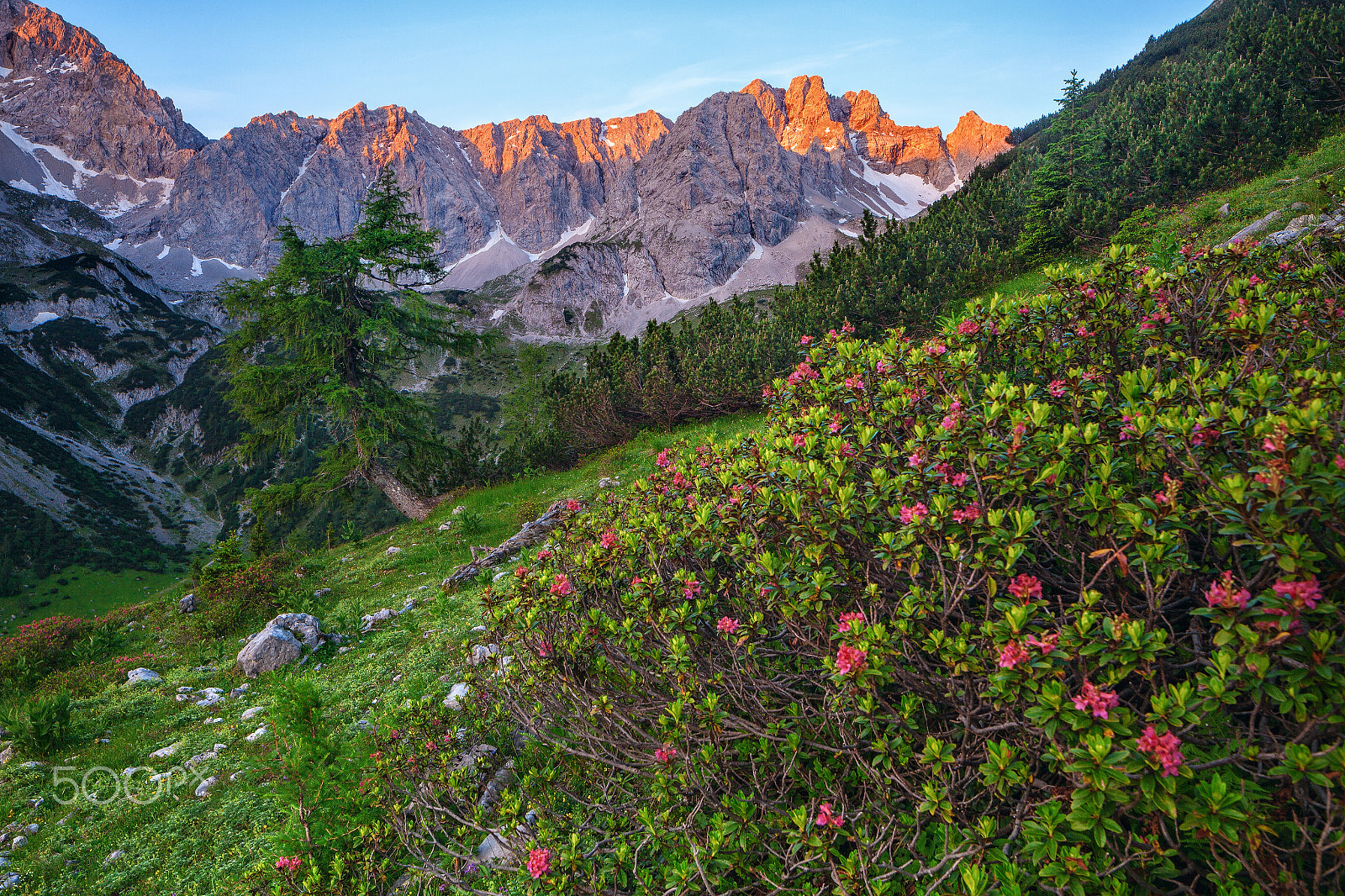 Canon EOS 5D Mark II + Canon TS-E 24.0mm f/3.5 L II sample photo. Morning glow photography