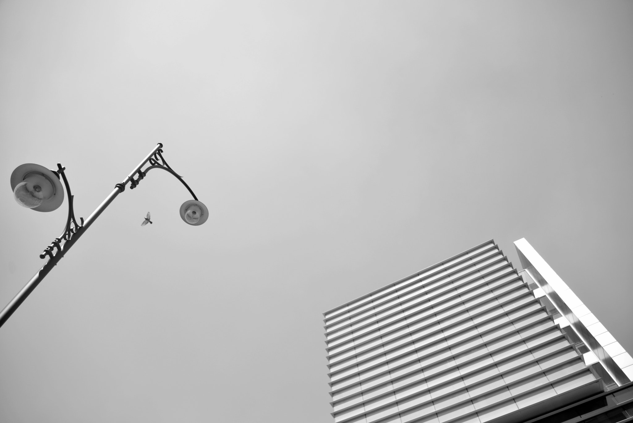 Nikon D600 + Nikon AF Nikkor 24mm F2.8D sample photo. Black and white cityscape photography