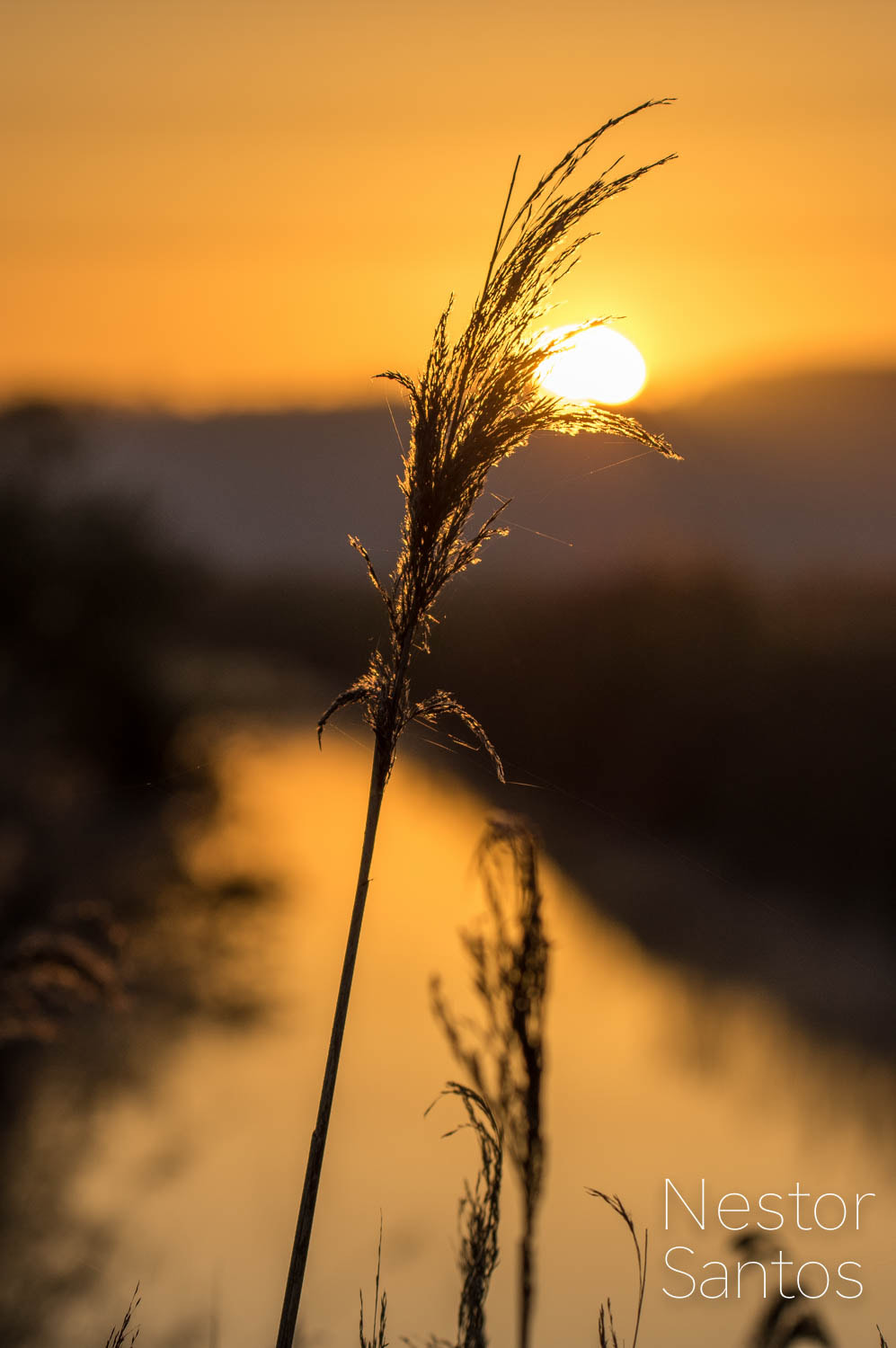 Pentax K-3 sample photo. The small sun photography