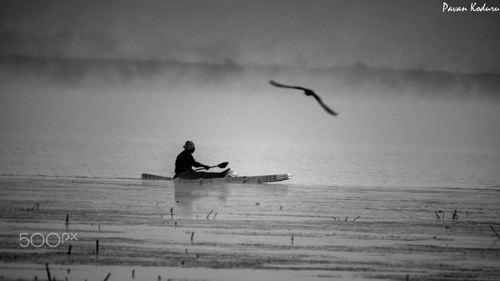 Sigma 150-500mm F5-6.3 DG OS HSM sample photo. Morning raga photography