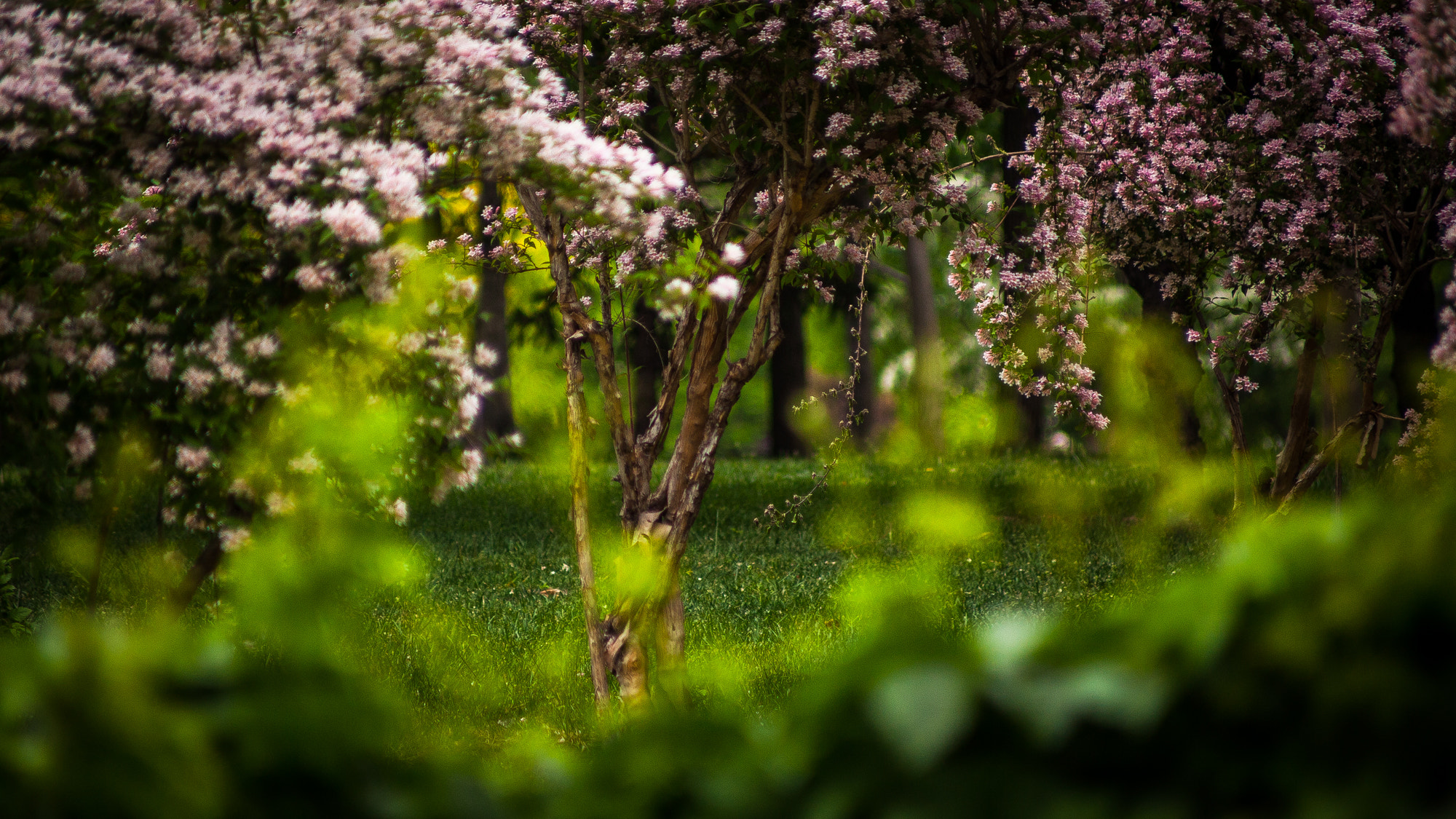 Canon EF 70-210mm f/4 sample photo