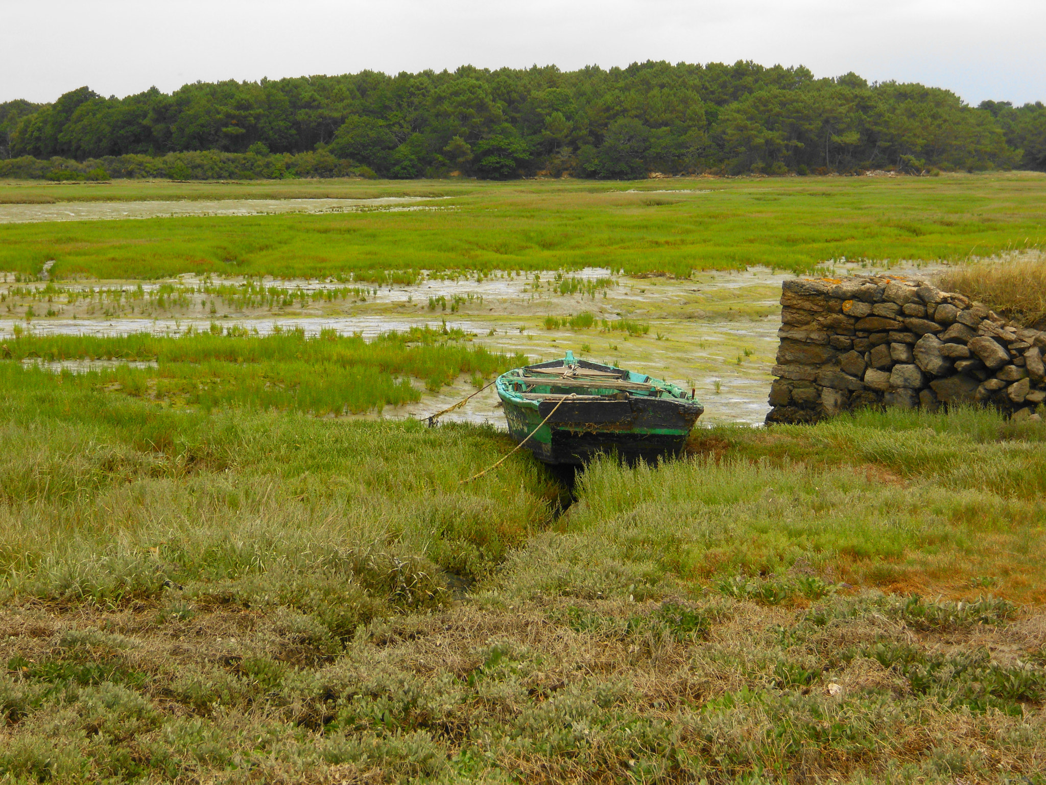Nikon Coolpix S570 sample photo. Barquette du morbihan photography