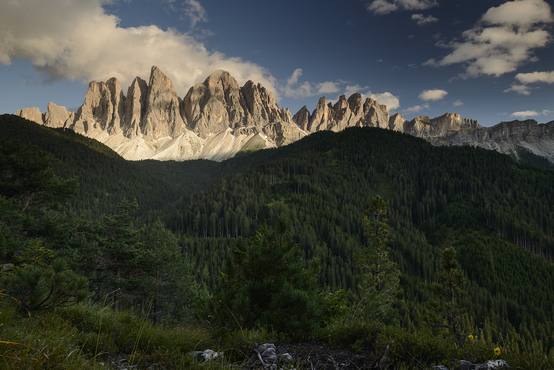 Nikon D800E + Nikon PC-E Nikkor 24mm F3.5D ED Tilt-Shift sample photo. Odle photography