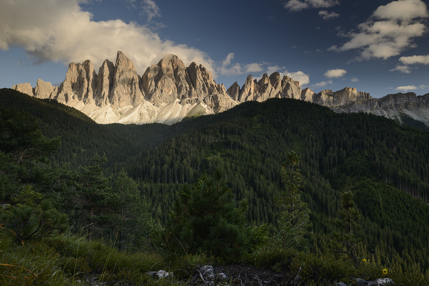 Nikon D800E + Nikon PC-E Nikkor 24mm F3.5D ED Tilt-Shift sample photo. Odle photography