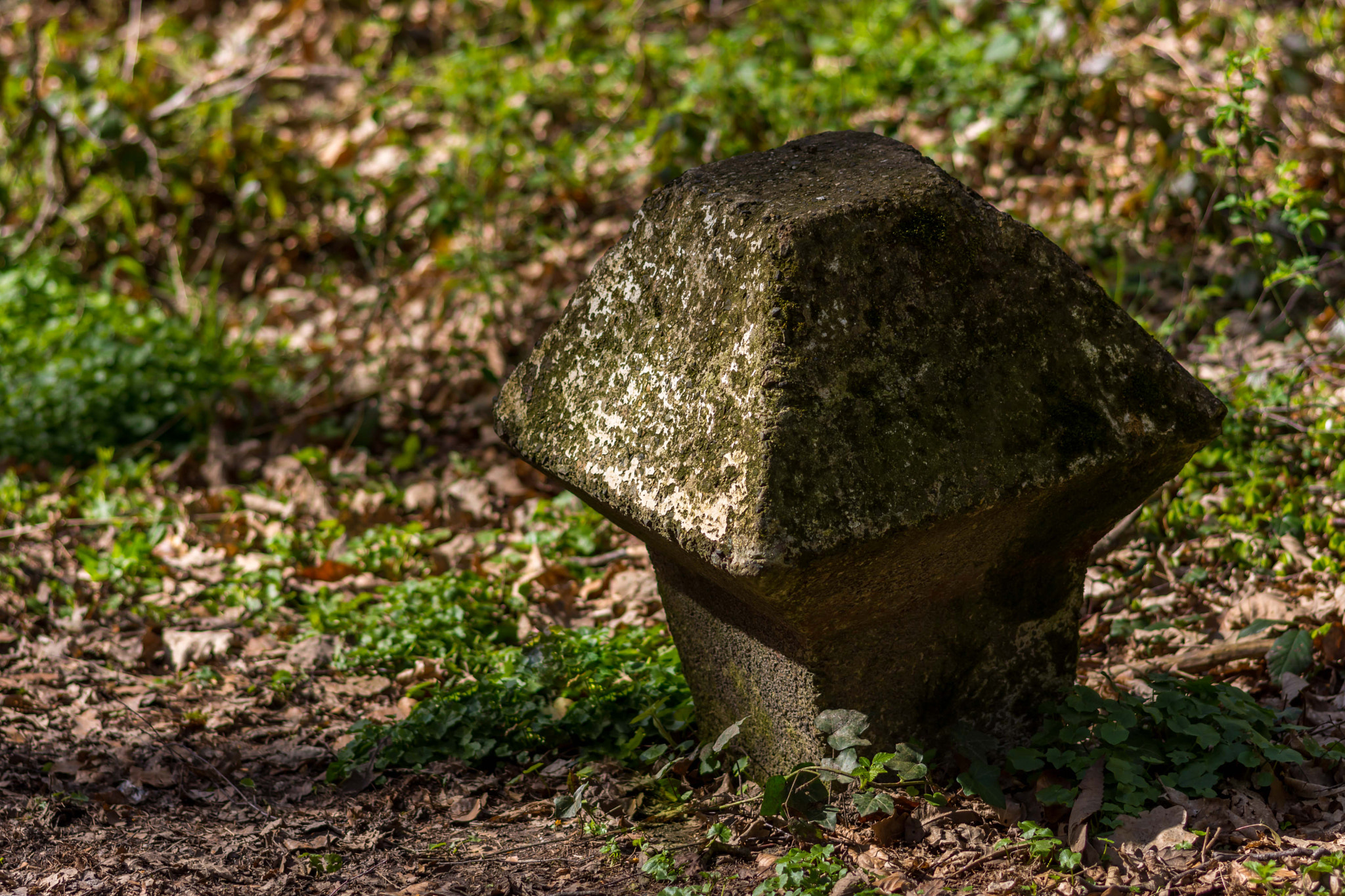 Nikon D7200 + Sigma 105mm F2.8 EX DG Macro sample photo. A stone mushroom like weathered roadsign. this is  ... photography
