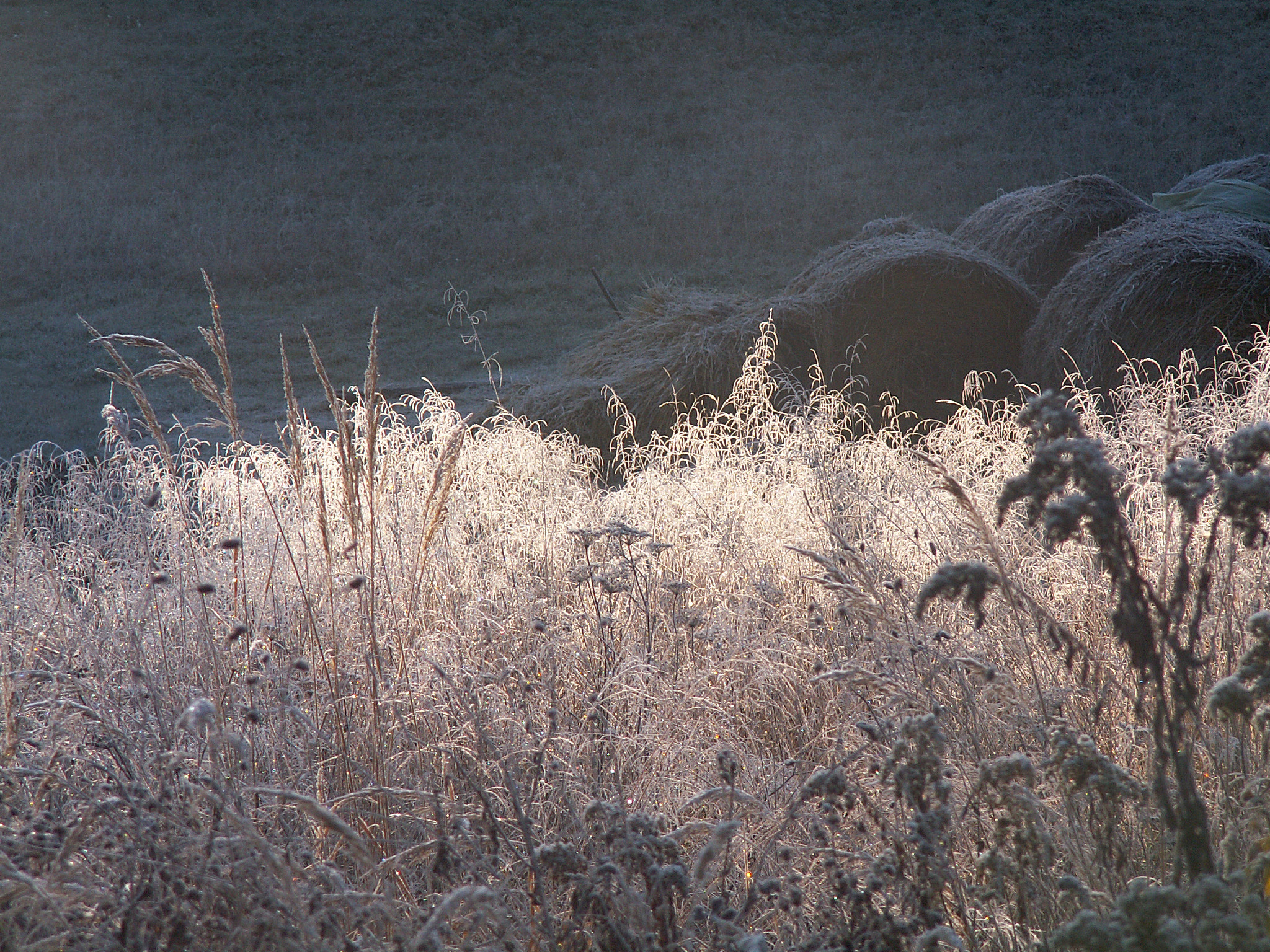 KONICA MINOLTA DiMAGE Z3 sample photo. Rural atmosphere photography