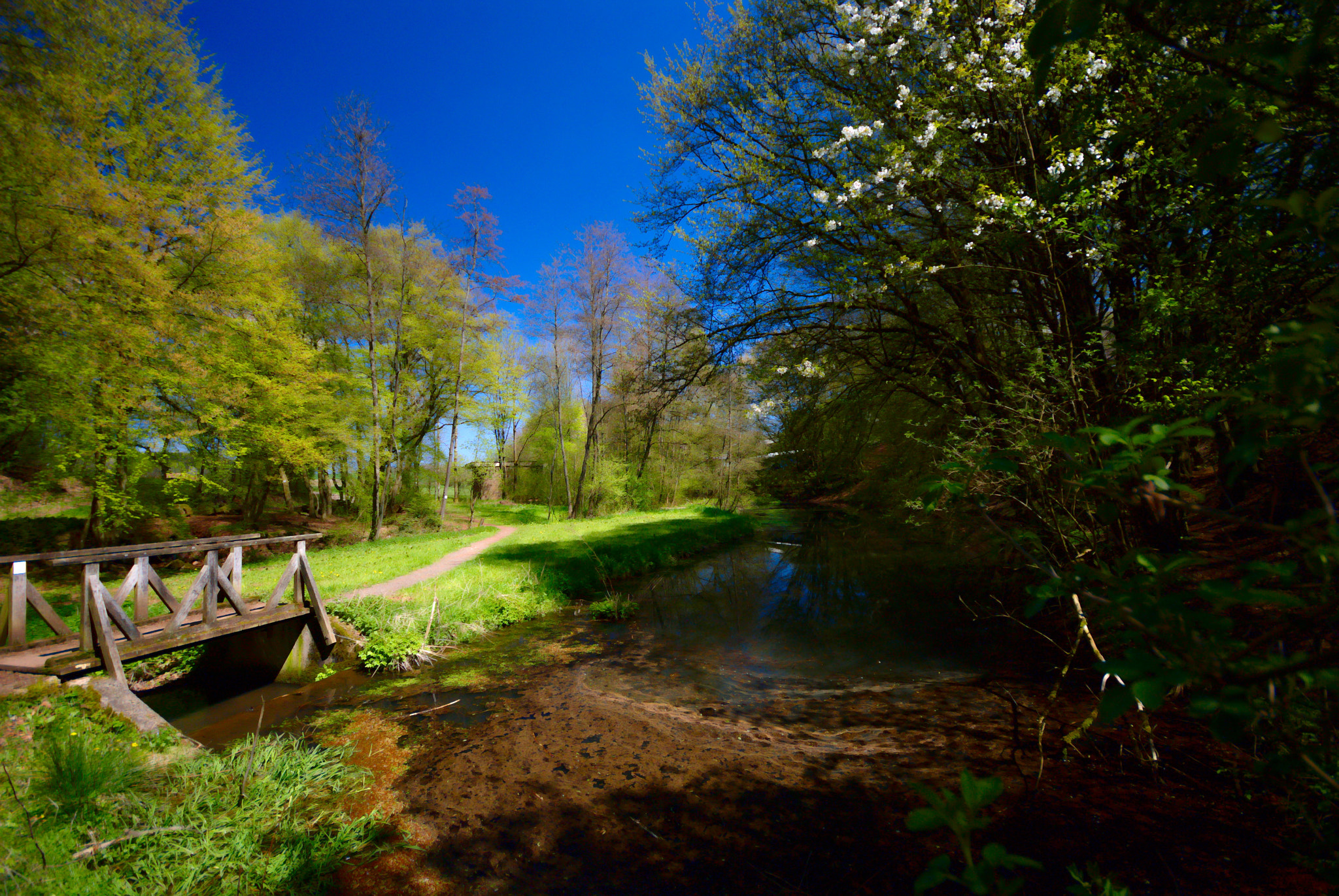 Sigma 10-20mm F4-5.6 EX DC HSM sample photo. Walking through spring photography