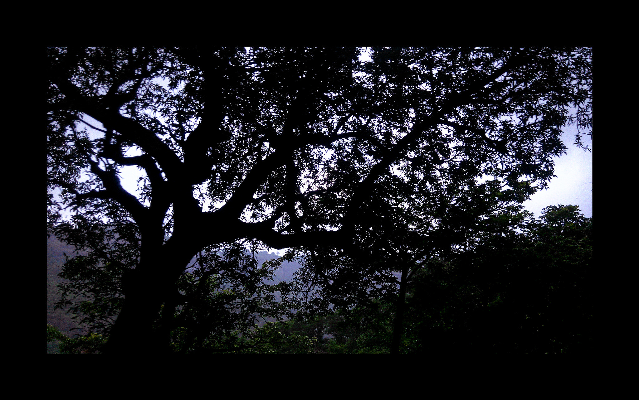 Xiaomi HM NOTE sample photo. Img_20150710_173726.jpg photography
