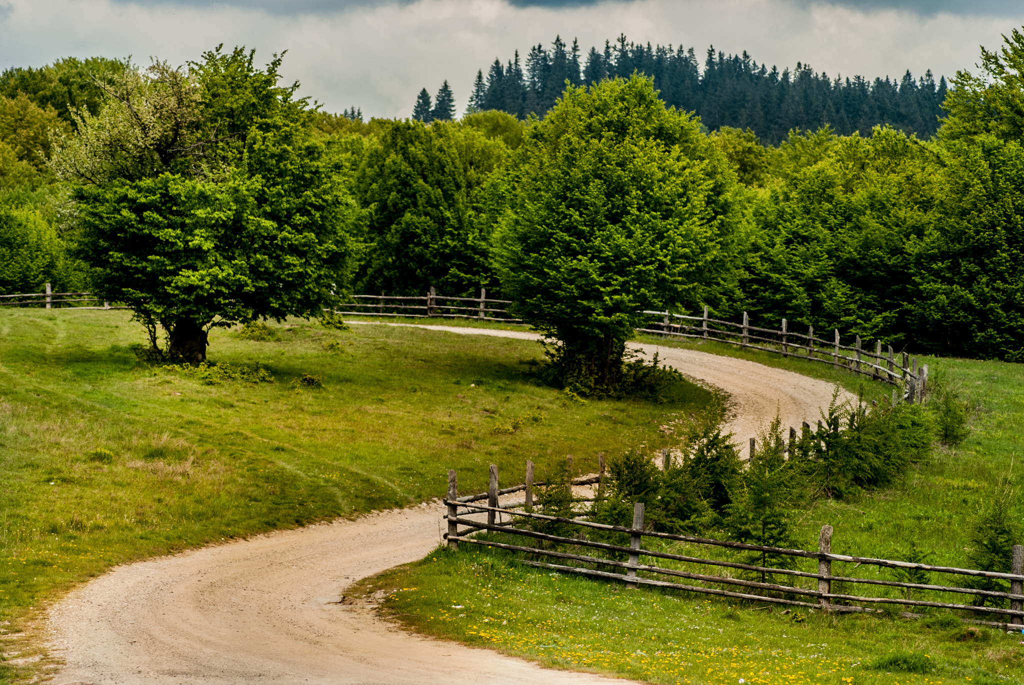 Nikon D60 sample photo. Romanian landscape photography