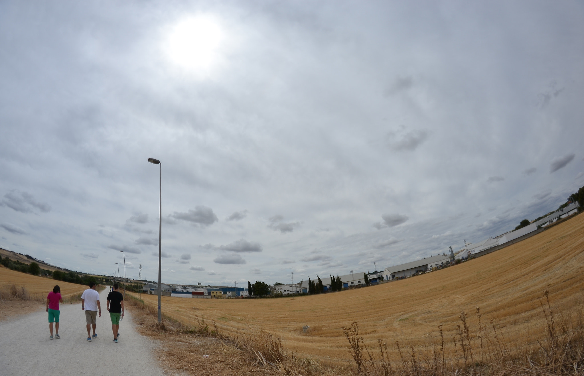 Nikon D3100 + Samyang 8mm F3.5 Aspherical IF MC Fisheye sample photo. Going for a walk photography