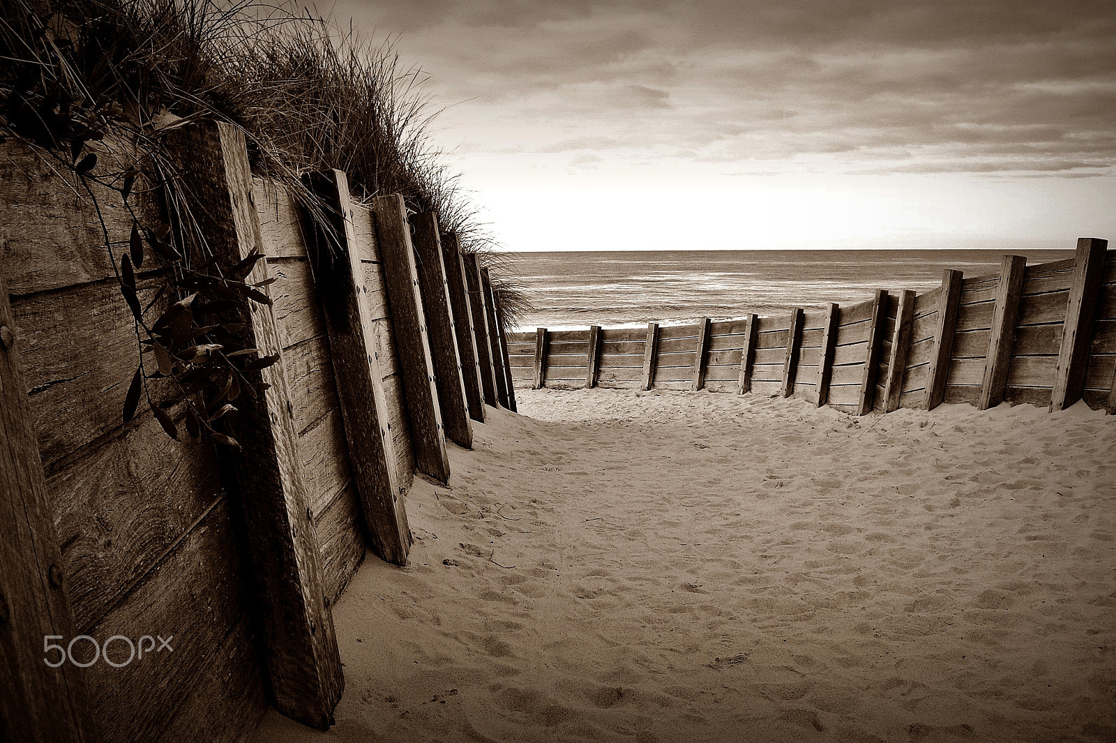 Pentax OPTIO A10 sample photo. Path to the sea photography