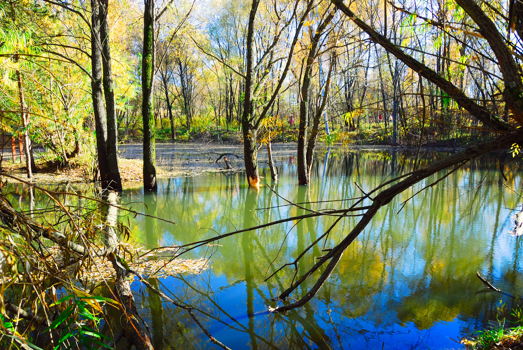 Nikon D200 + Sigma 18-50mm F2.8 EX DC Macro sample photo. Spring flood photography