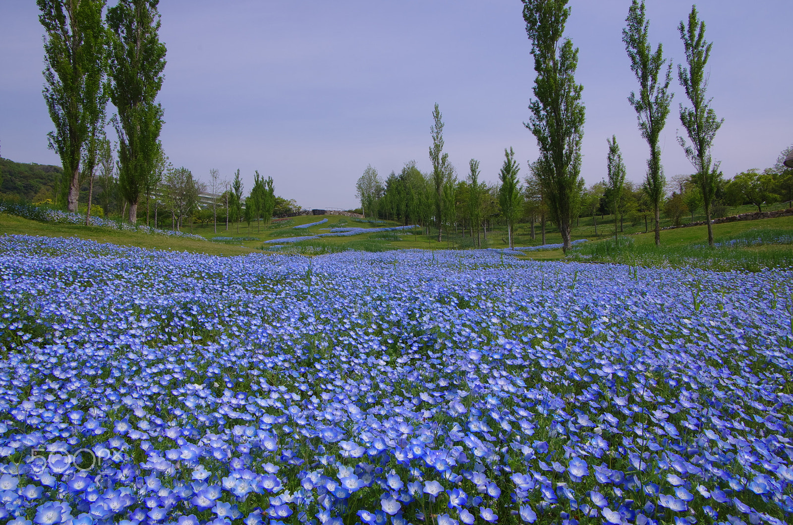 Pentax K-5 IIs + Pentax smc DA 16-45mm F4 ED AL sample photo. Blue world photography