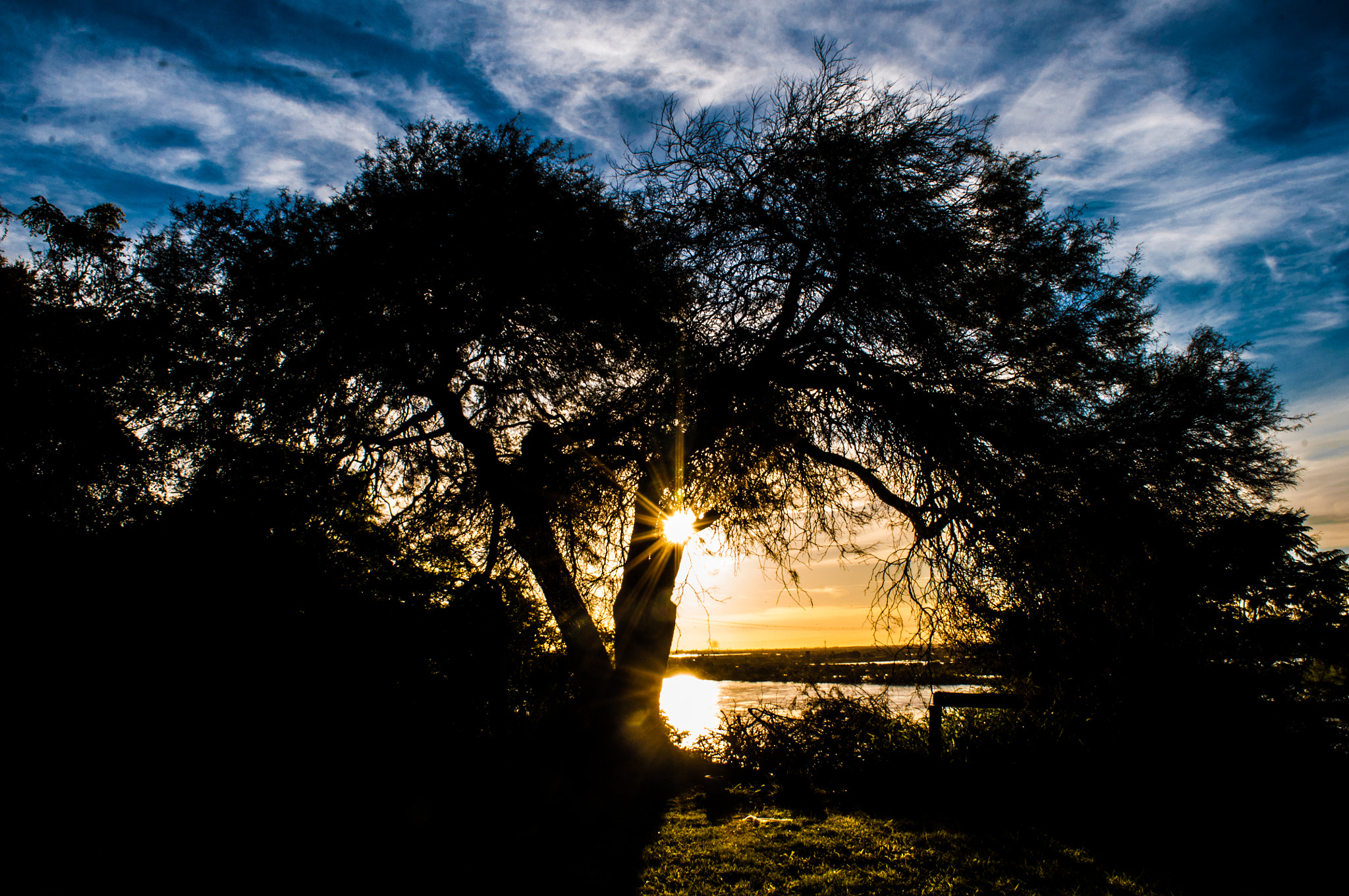 Nikon D90 + Nikon AF-S DX Nikkor 18-55mm F3.5-5.6G VR II sample photo. Light and shade, tree and sky, sunset ... photography