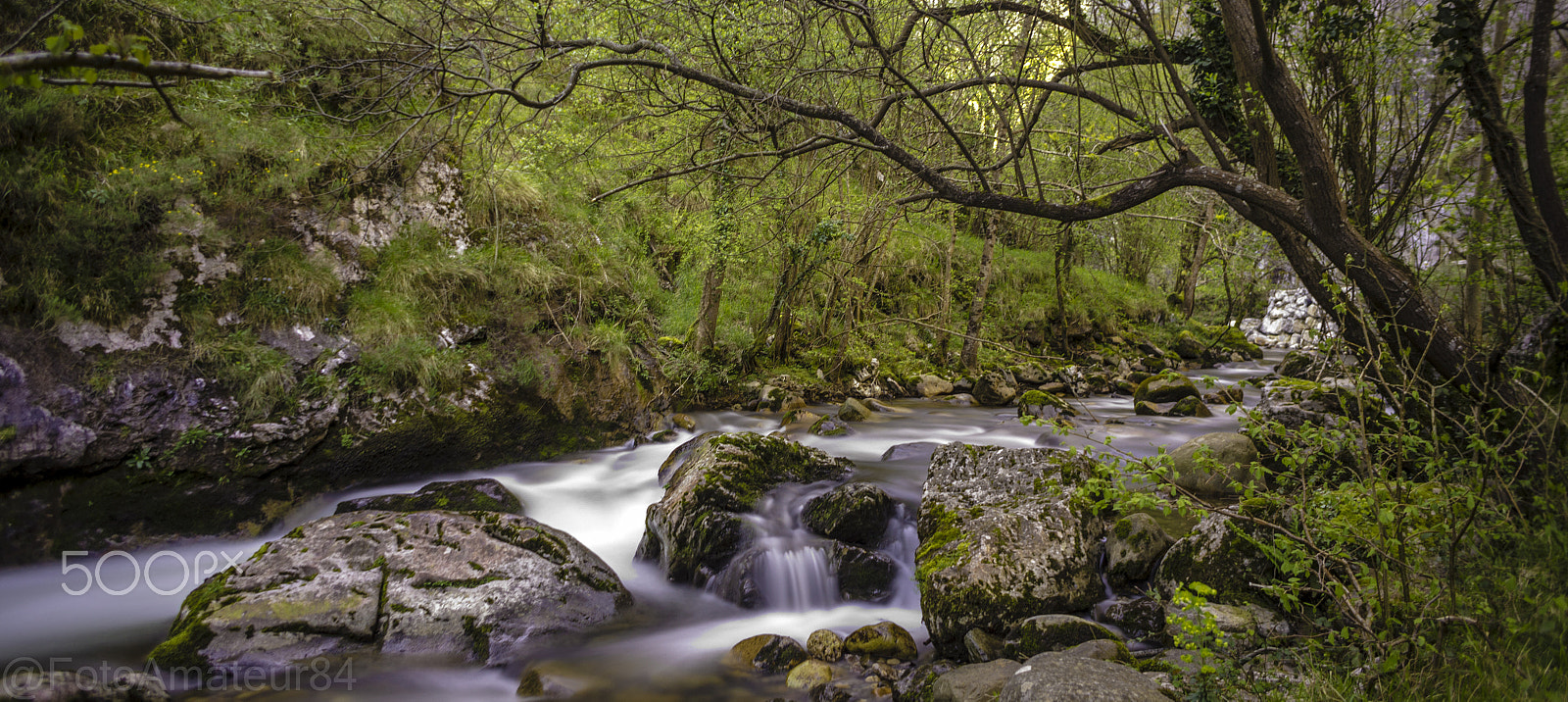 Sony Alpha NEX-C3 + Sony E 16mm F2.8 sample photo. Un lugar para perderse, ruta del rio alba photography