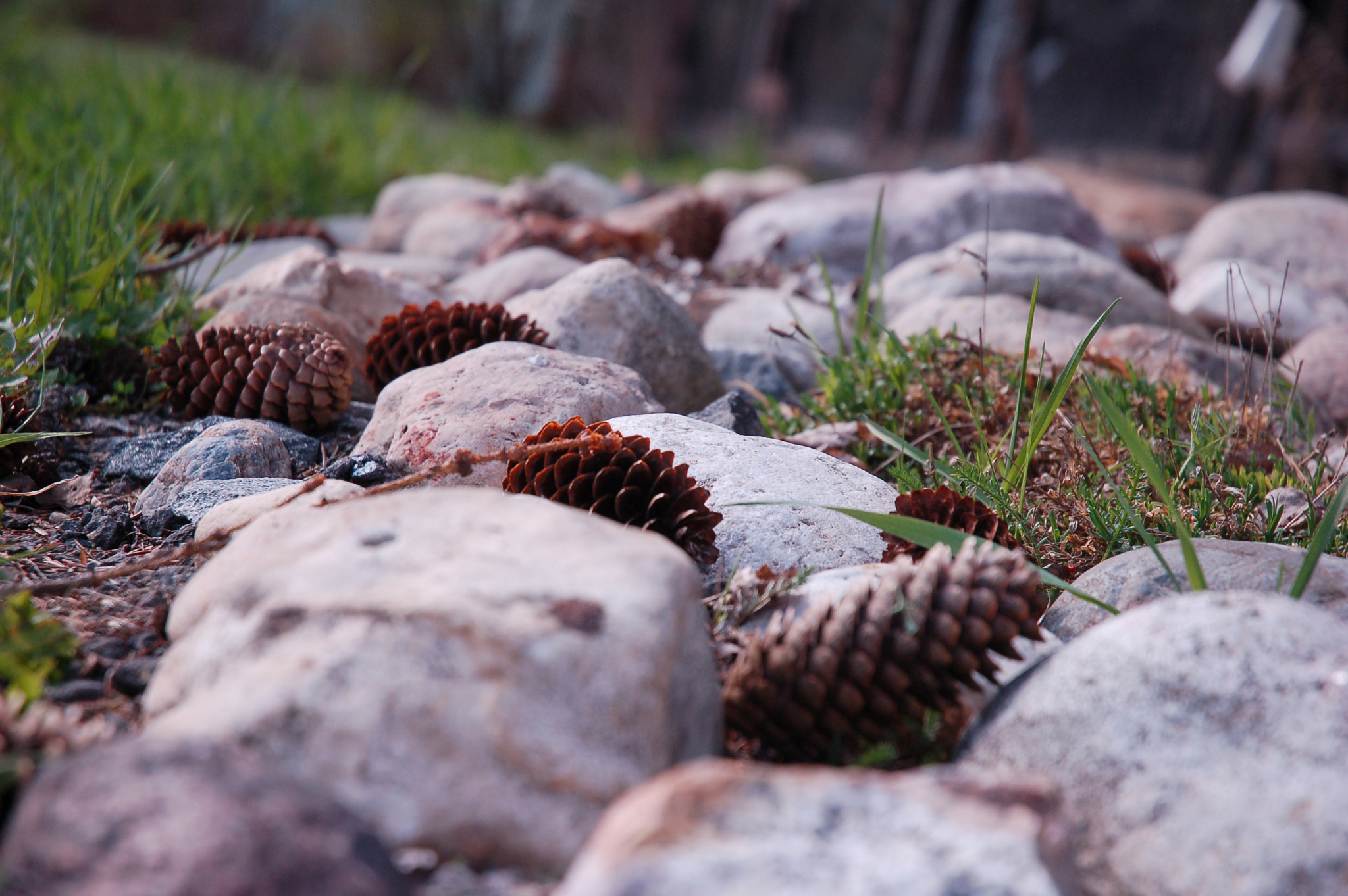 Nikon D50 sample photo. Stones photography