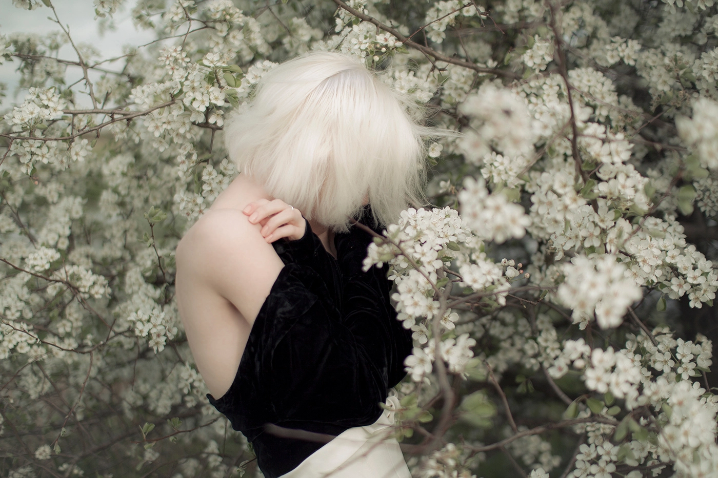 Sigma 30mm F1.4 EX DC HSM sample photo. Spring flowers ii photography