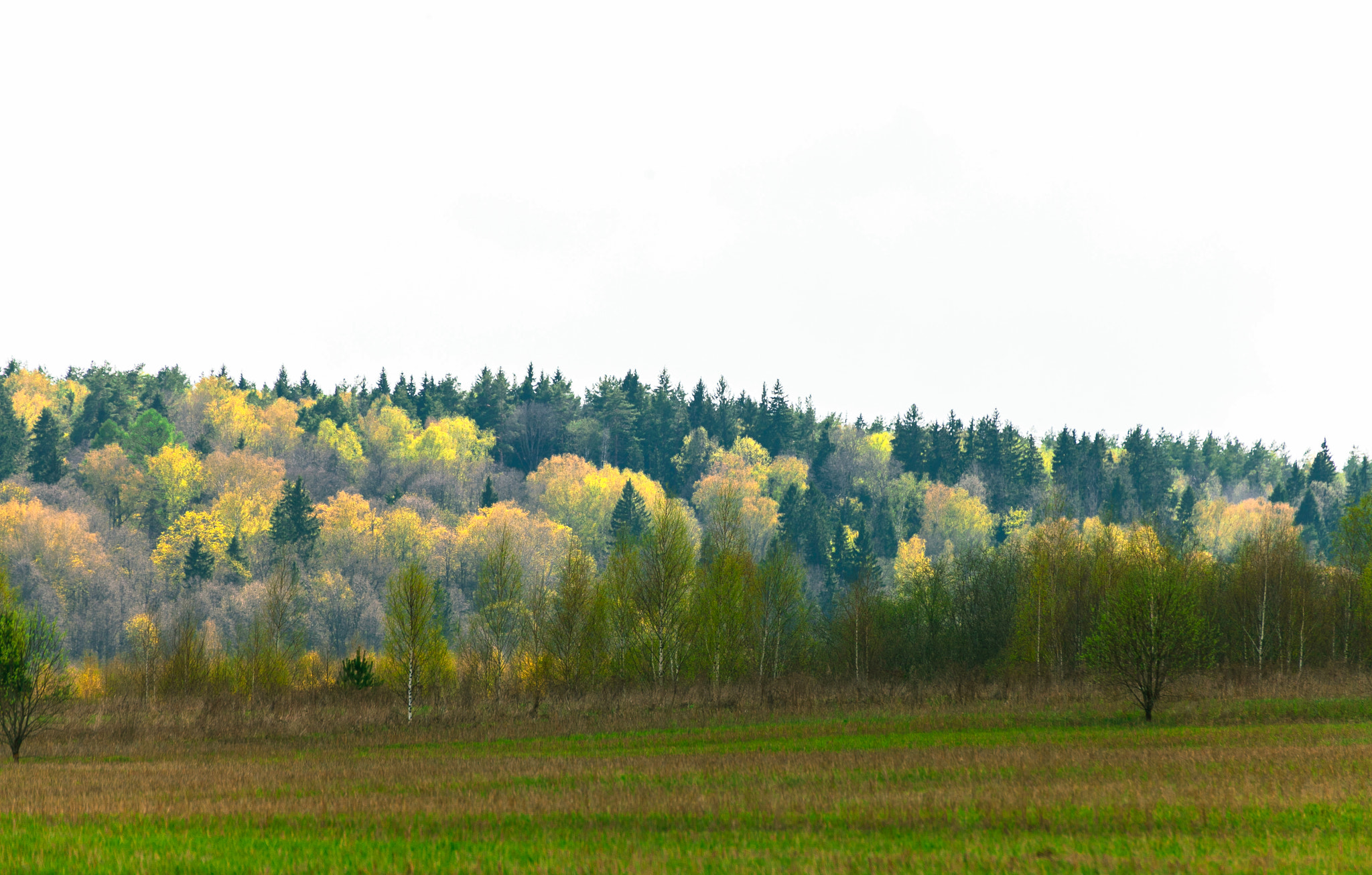 Tamron SP 35mm F1.8 Di VC USD sample photo. Nature of russia / Природа России photography