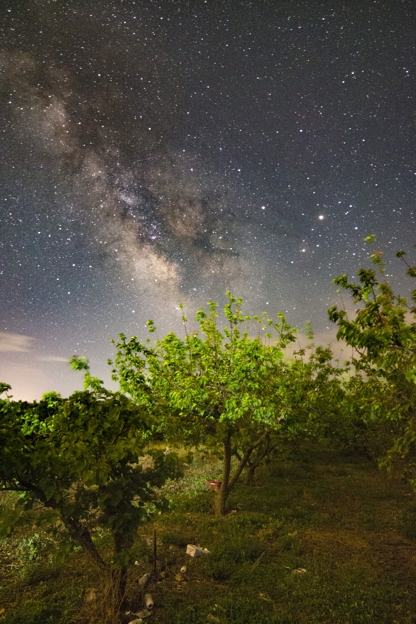 Nikon D3100 + Samyang 14mm F2.8 ED AS IF UMC sample photo. Dsc_7015.jpg photography