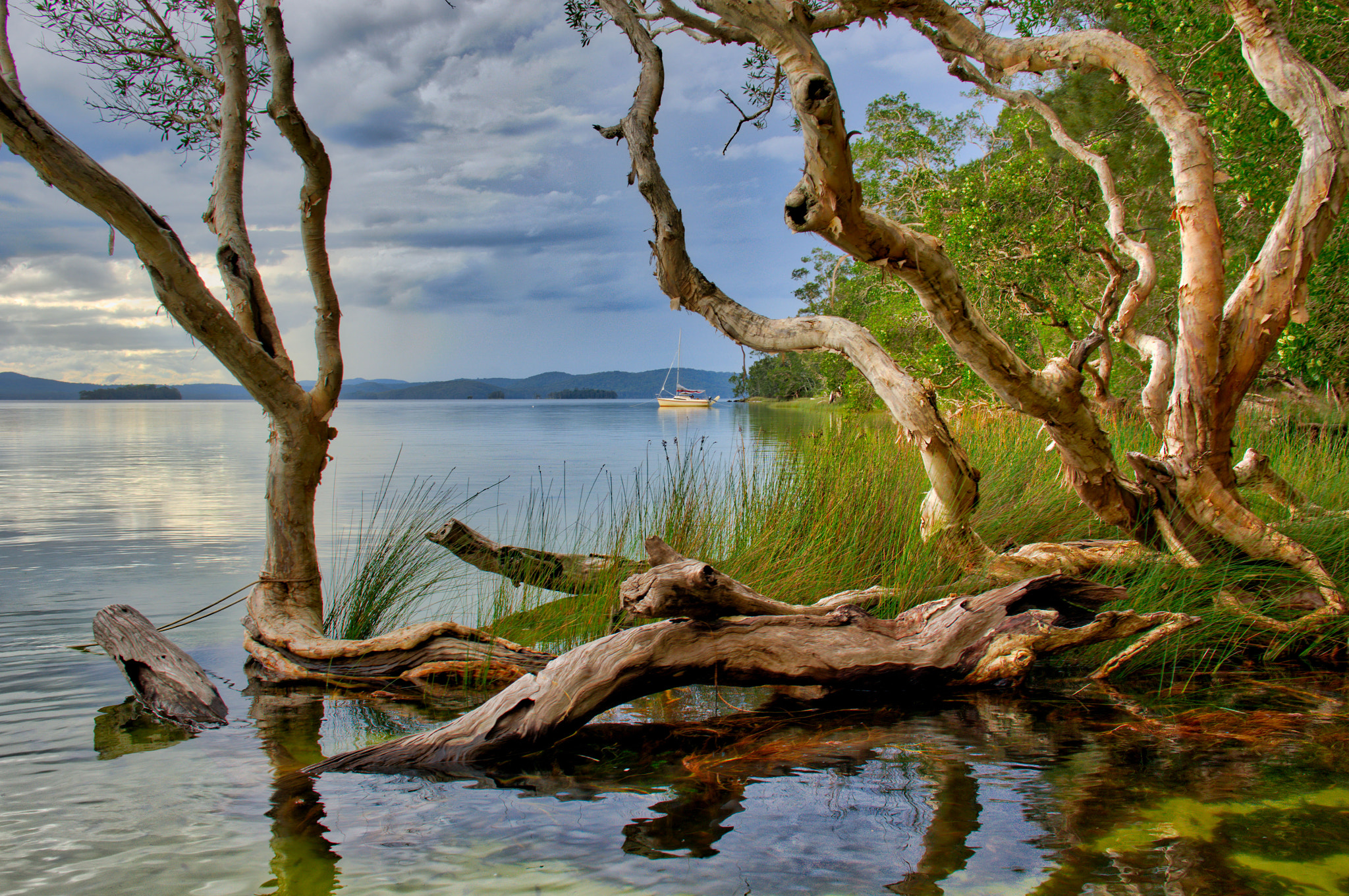 Sony Alpha NEX-6 + Sony Sonnar T* E 24mm F1.8 ZA sample photo. Shelley beach, myall lakes, nsw australia photography